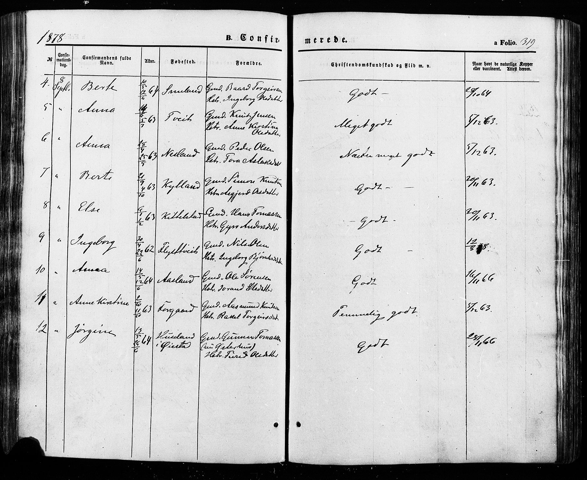 Åseral sokneprestkontor, AV/SAK-1111-0051/F/Fa/L0002: Parish register (official) no. A 2, 1854-1884, p. 319