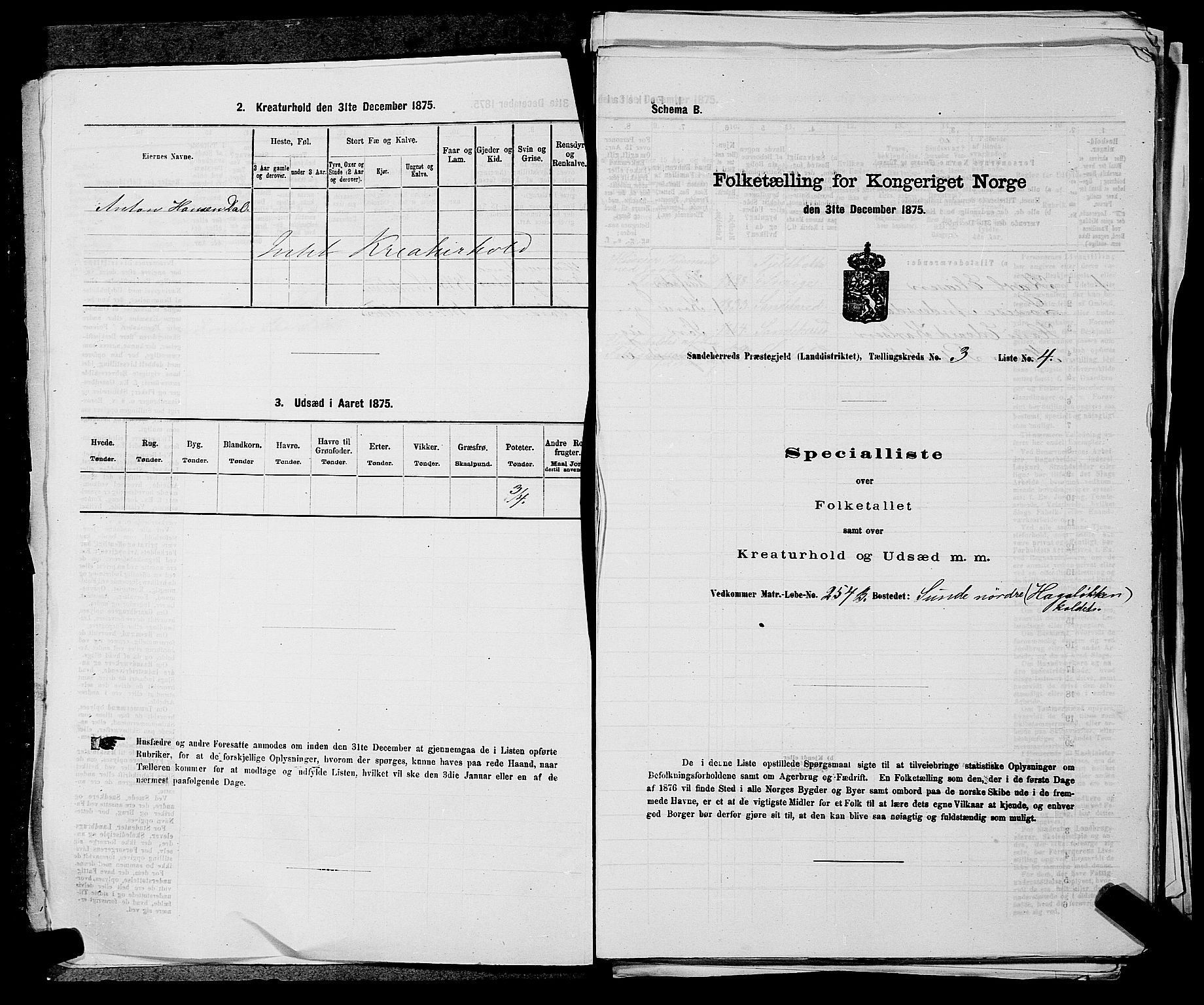 SAKO, 1875 census for 0724L Sandeherred/Sandeherred, 1875, p. 698