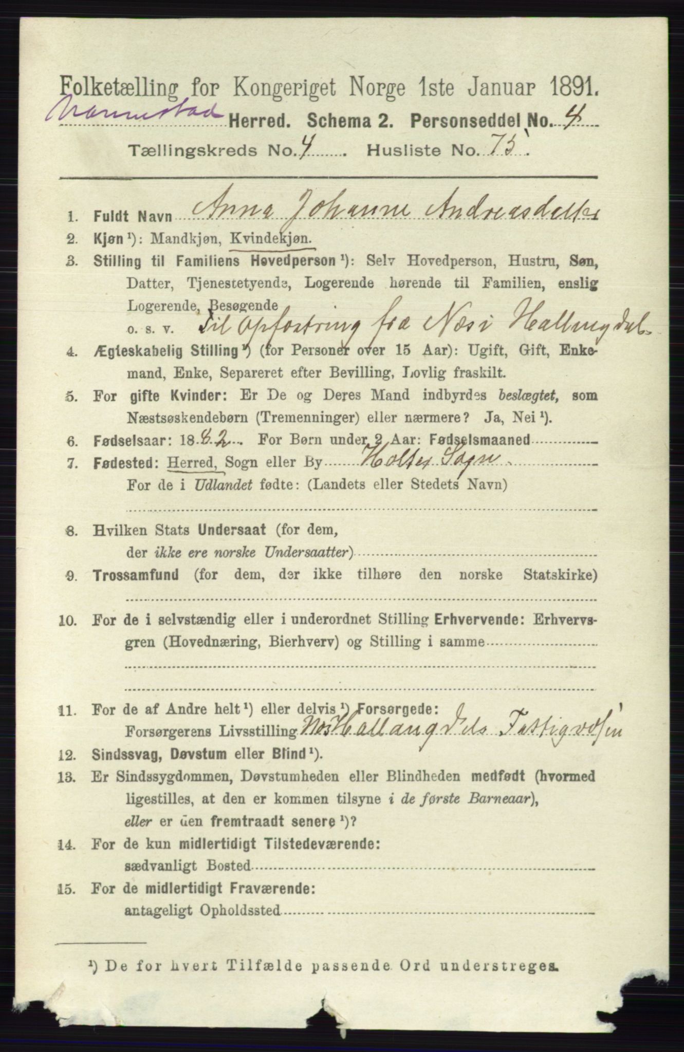 RA, 1891 census for 0238 Nannestad, 1891, p. 2519