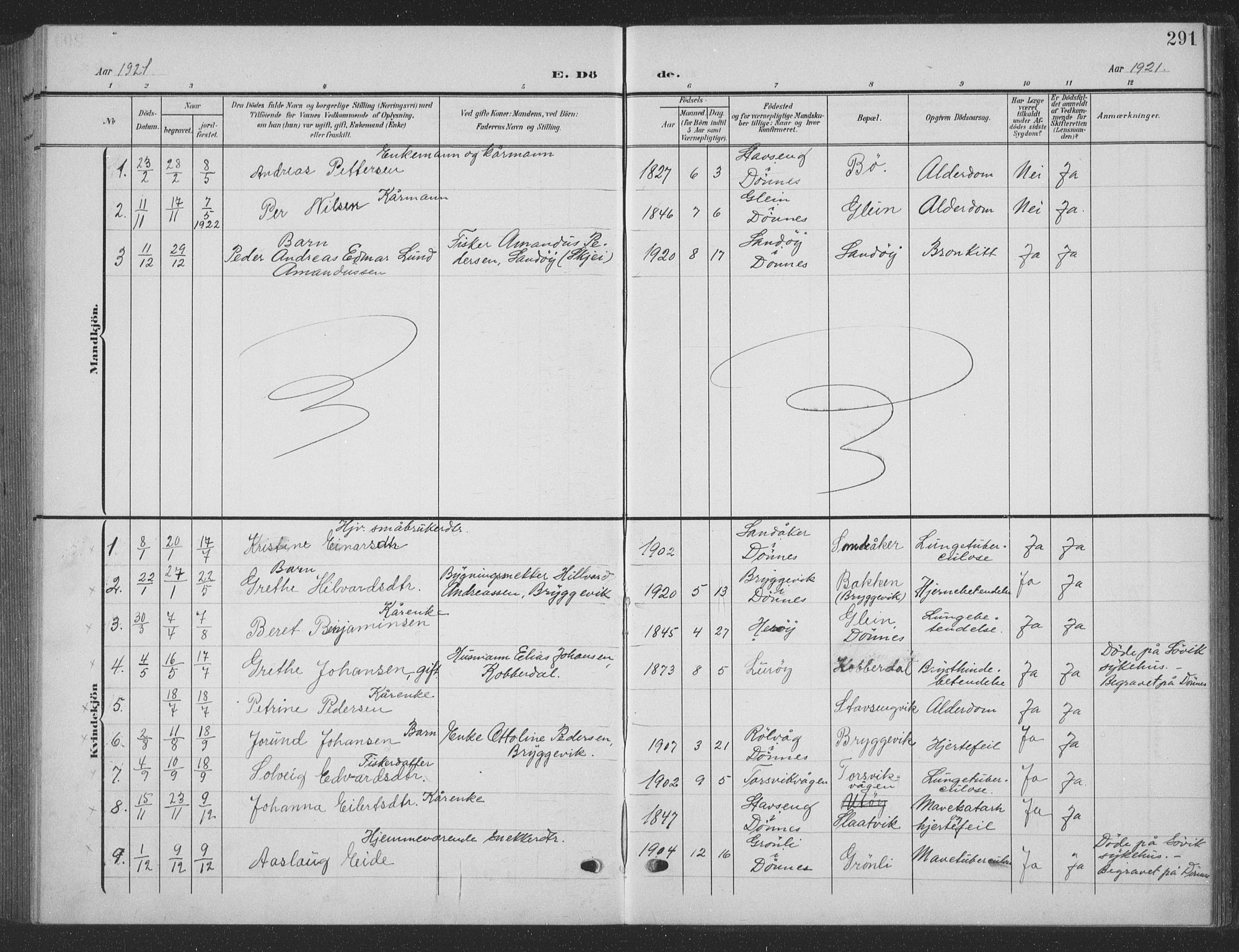 Ministerialprotokoller, klokkerbøker og fødselsregistre - Nordland, AV/SAT-A-1459/835/L0533: Parish register (copy) no. 835C05, 1906-1939, p. 291