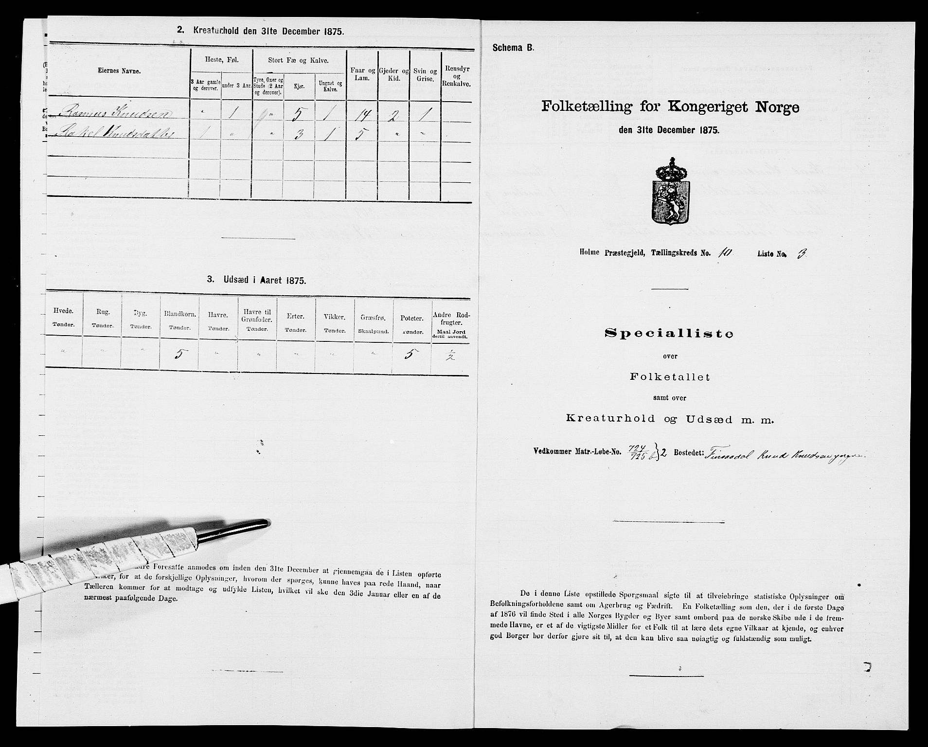 SAK, 1875 census for 1020P Holum, 1875, p. 1060