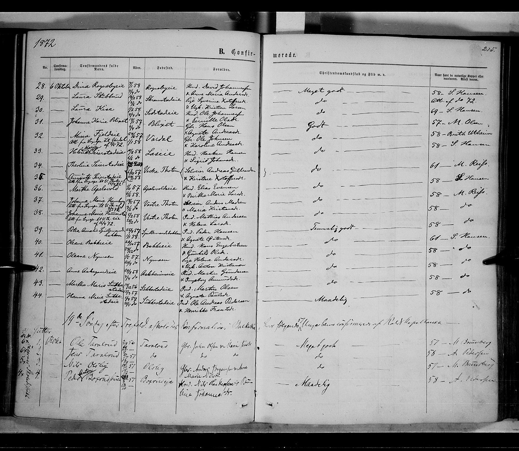 Østre Toten prestekontor, AV/SAH-PREST-104/H/Ha/Haa/L0005: Parish register (official) no. 5, 1866-1877, p. 215