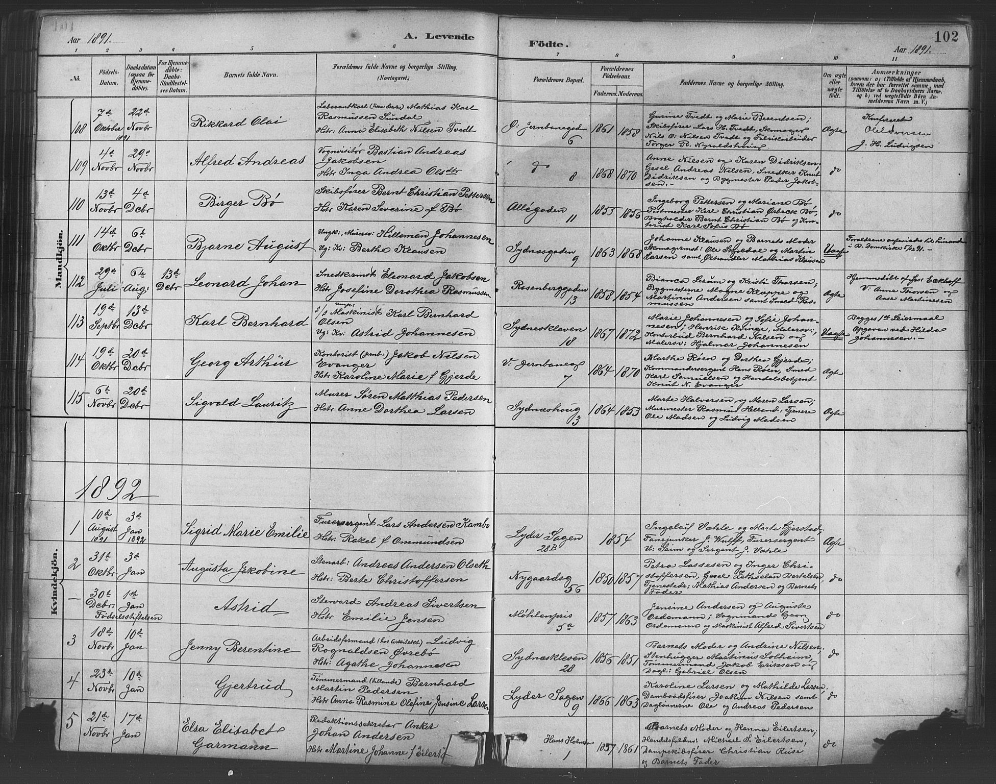 Johanneskirken sokneprestembete, SAB/A-76001/H/Hab: Parish register (copy) no. A 1, 1885-1900, p. 102