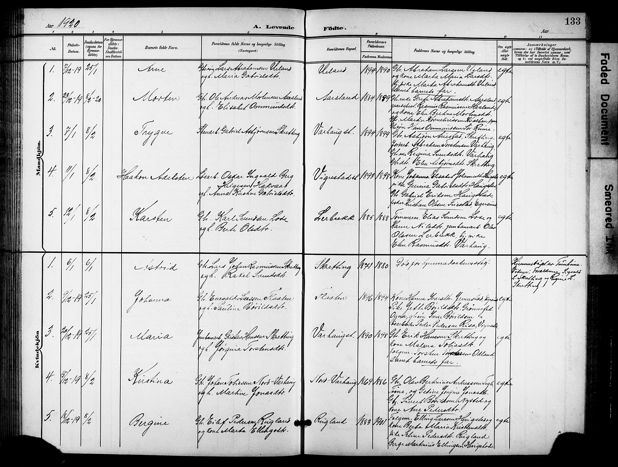 Hå sokneprestkontor, AV/SAST-A-101801/001/30BB/L0006: Parish register (copy) no. B 6, 1900-1924, p. 133