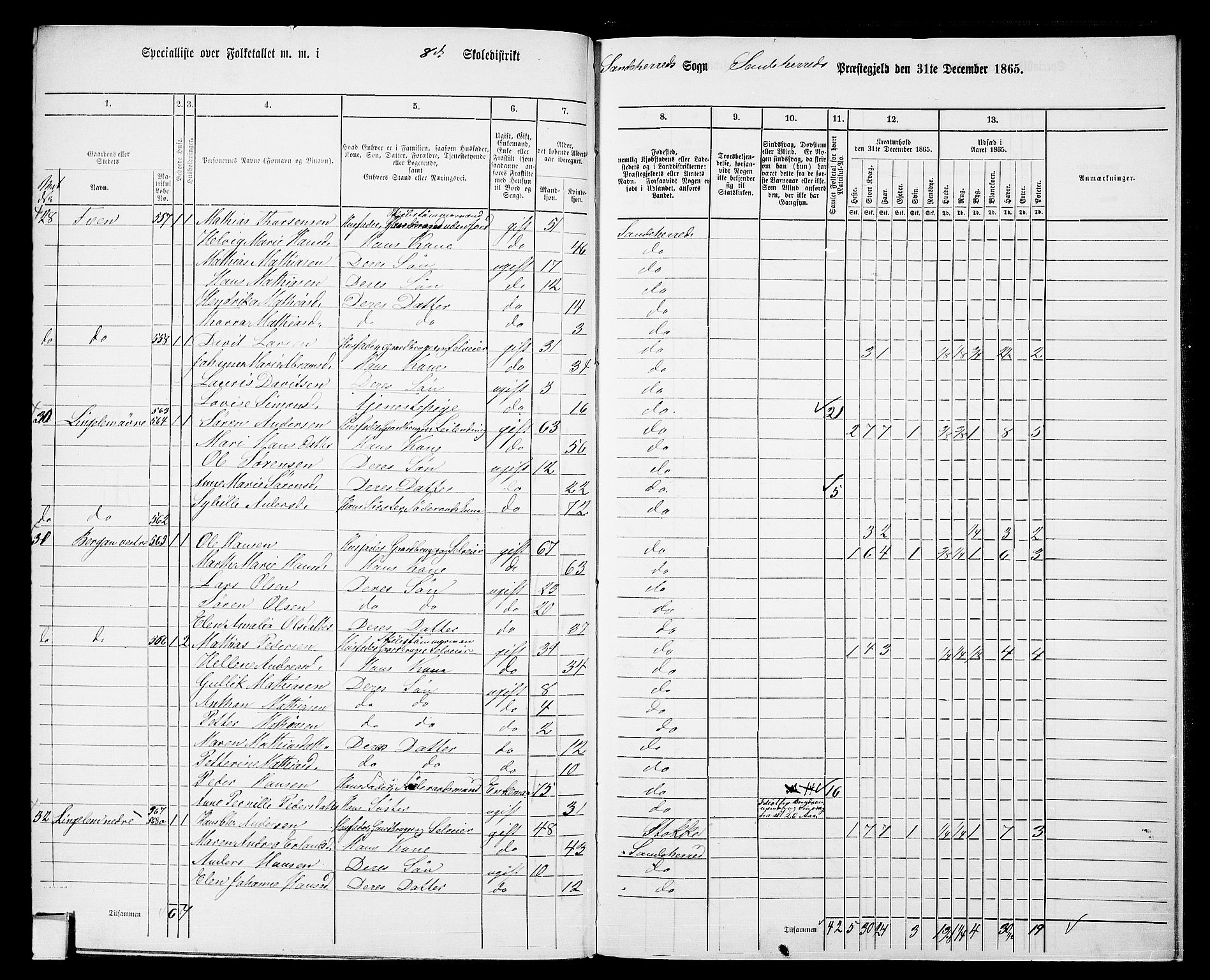 RA, 1865 census for Sandeherred/Sandeherred, 1865, p. 215