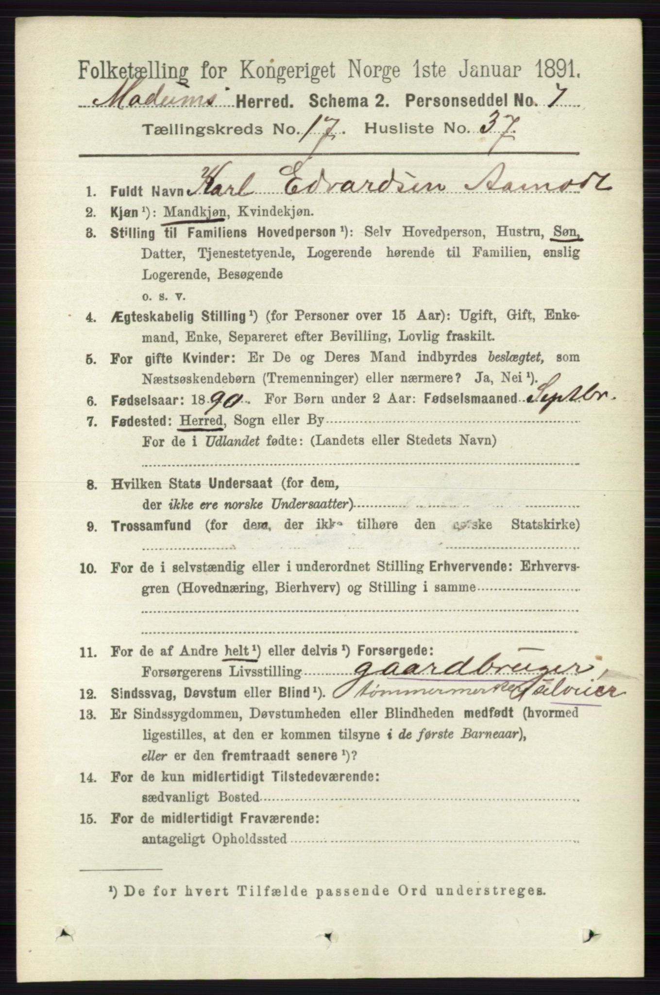 RA, 1891 census for 0623 Modum, 1891, p. 6824