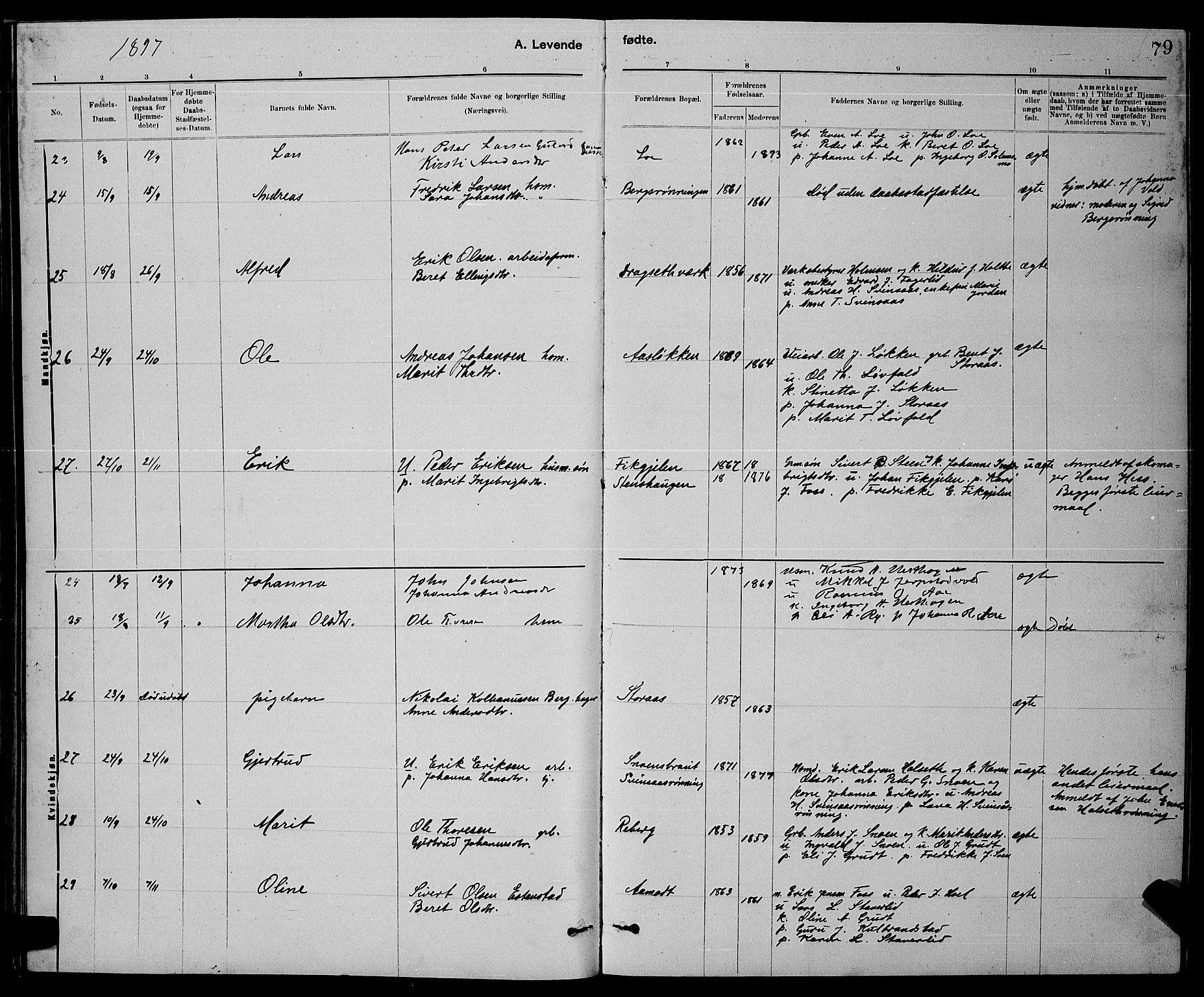 Ministerialprotokoller, klokkerbøker og fødselsregistre - Sør-Trøndelag, SAT/A-1456/672/L0863: Parish register (copy) no. 672C02, 1888-1901, p. 79