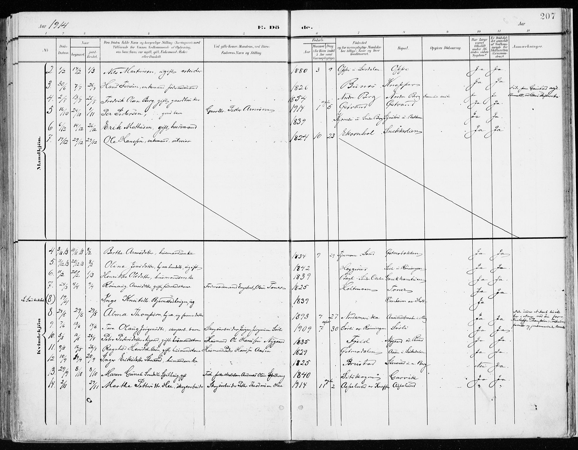 Nord-Odal prestekontor, SAH/PREST-032/H/Ha/Haa/L0009: Parish register (official) no. 9, 1902-1926, p. 207