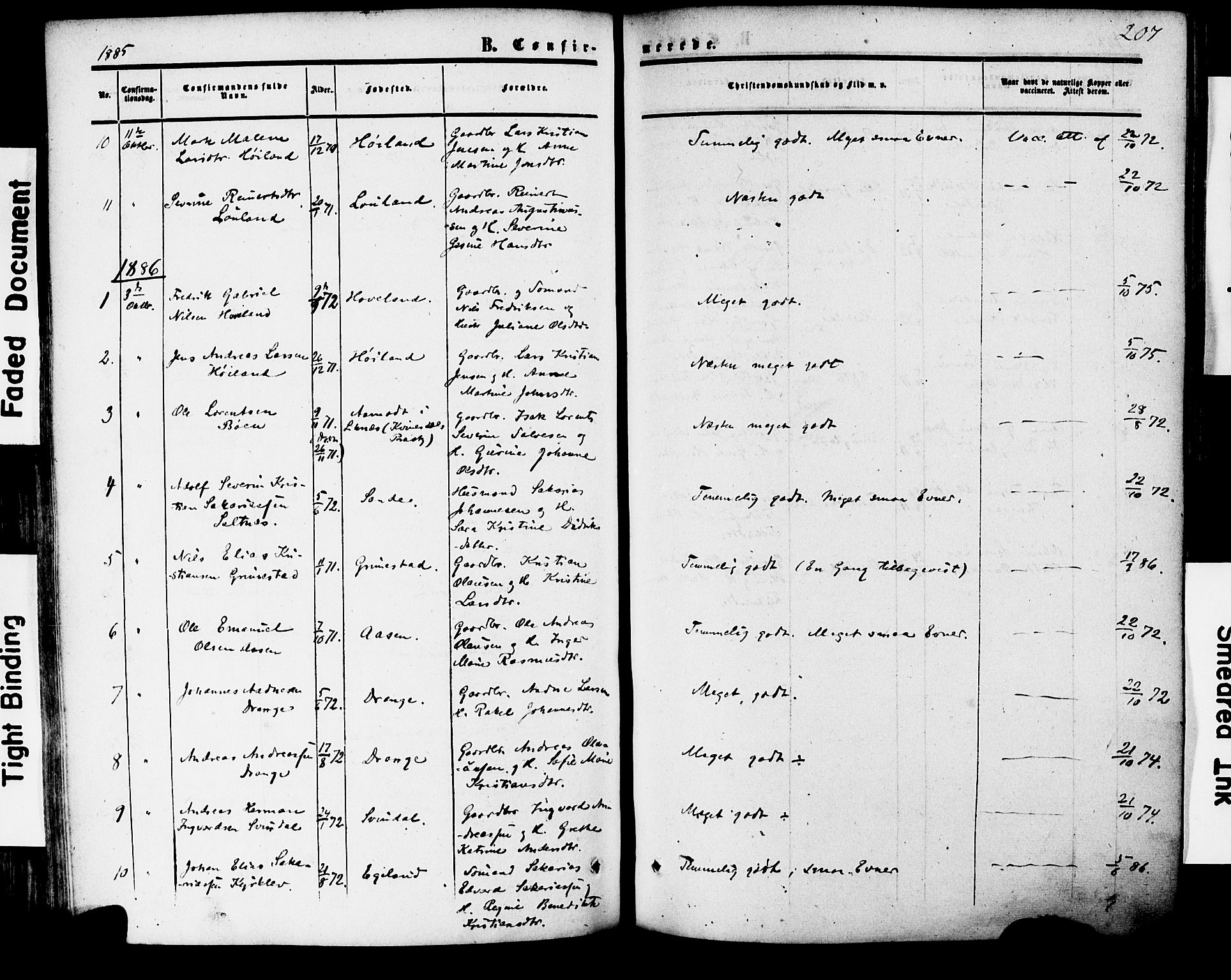 Herad sokneprestkontor, AV/SAK-1111-0018/F/Fa/Faa/L0005: Parish register (official) no. A 5, 1853-1886, p. 207