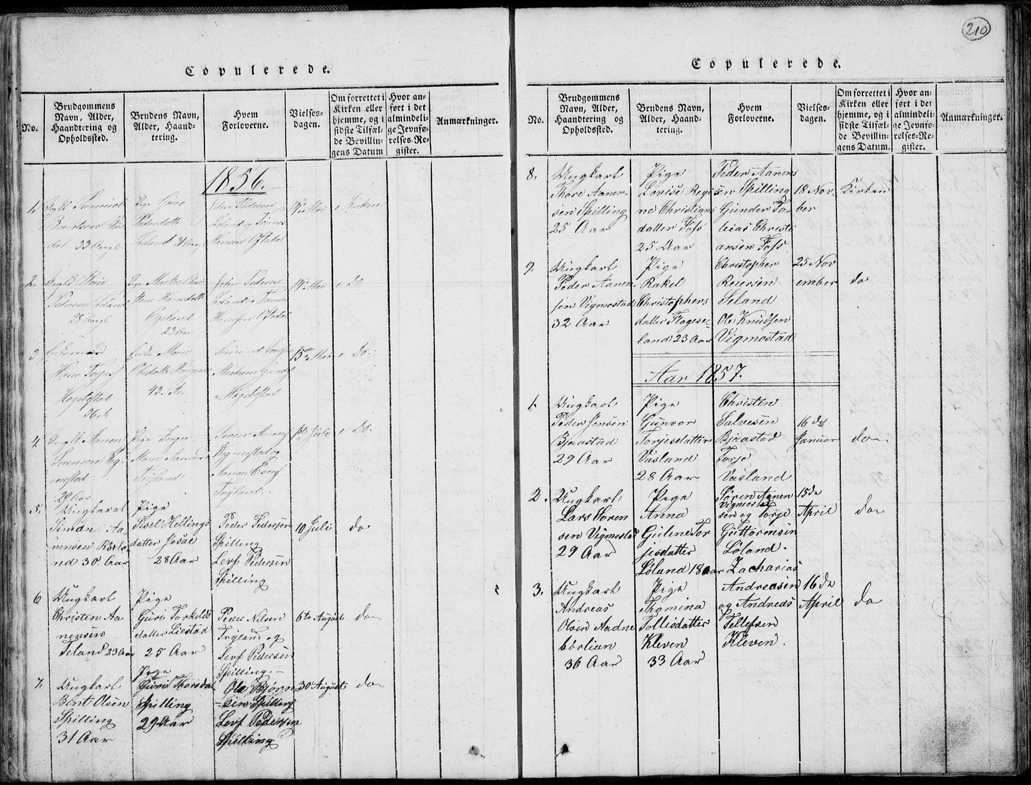 Nord-Audnedal sokneprestkontor, AV/SAK-1111-0032/F/Fb/Fbb/L0001: Parish register (copy) no. B 1, 1816-1858, p. 210