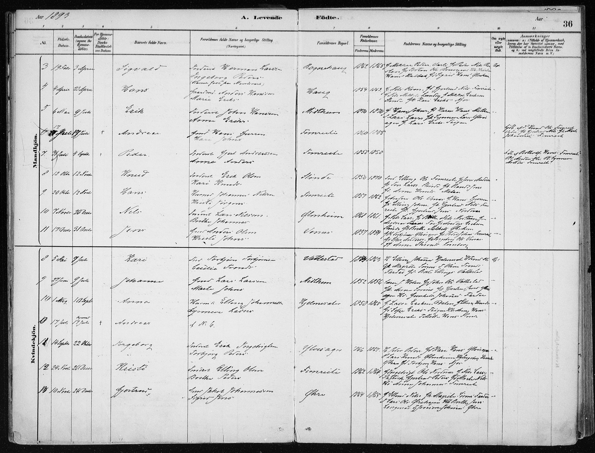 Sogndal sokneprestembete, SAB/A-81301/H/Haa/Haac/L0001: Parish register (official) no. C 1, 1878-1907, p. 36