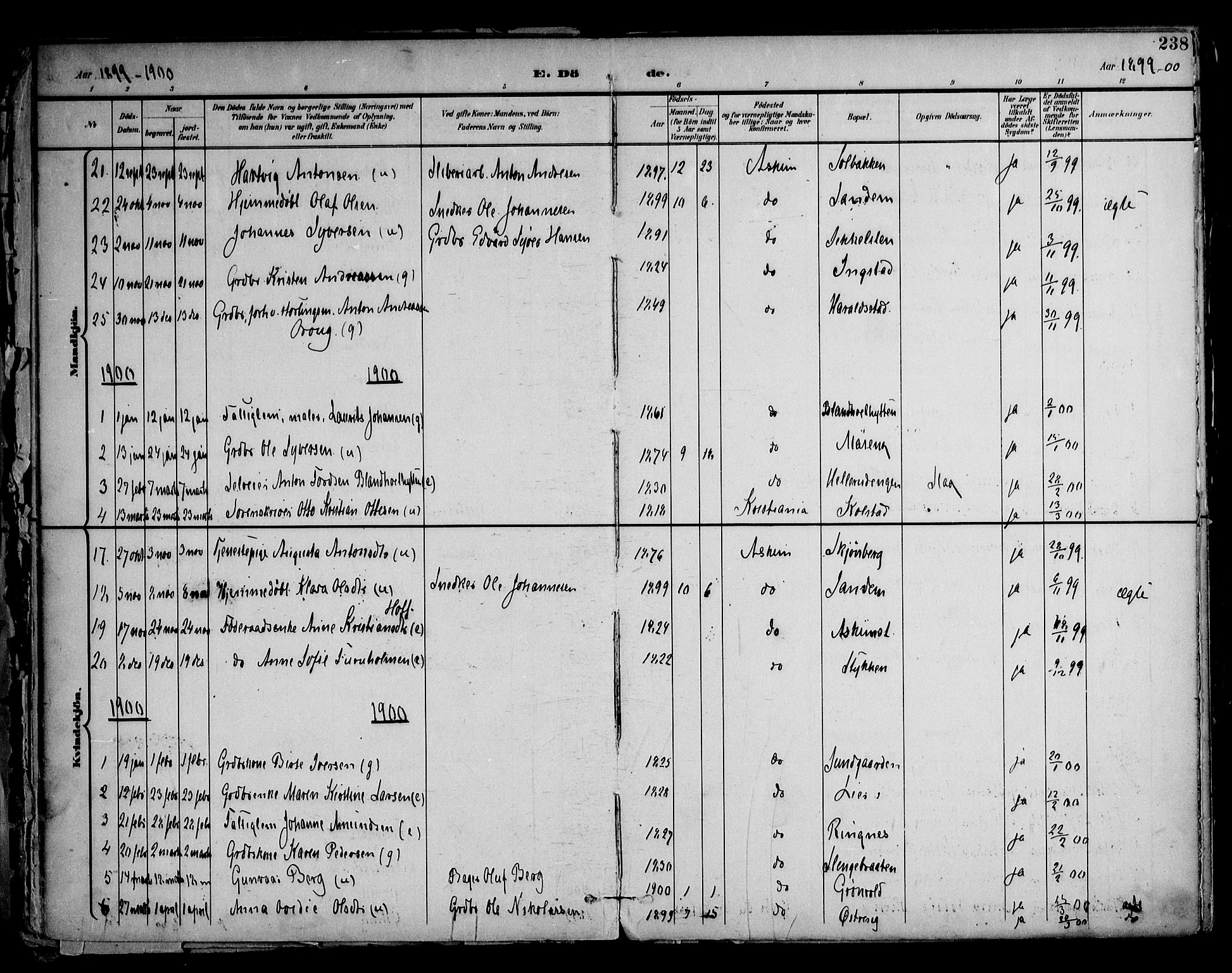 Askim prestekontor Kirkebøker, AV/SAO-A-10900/F/Fa/L0008: Parish register (official) no. 8, 1898-1912, p. 238