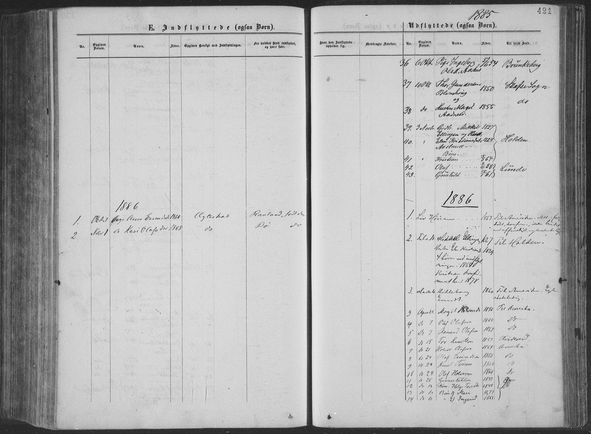 Seljord kirkebøker, SAKO/A-20/F/Fa/L0014: Parish register (official) no. I 14, 1877-1886, p. 421