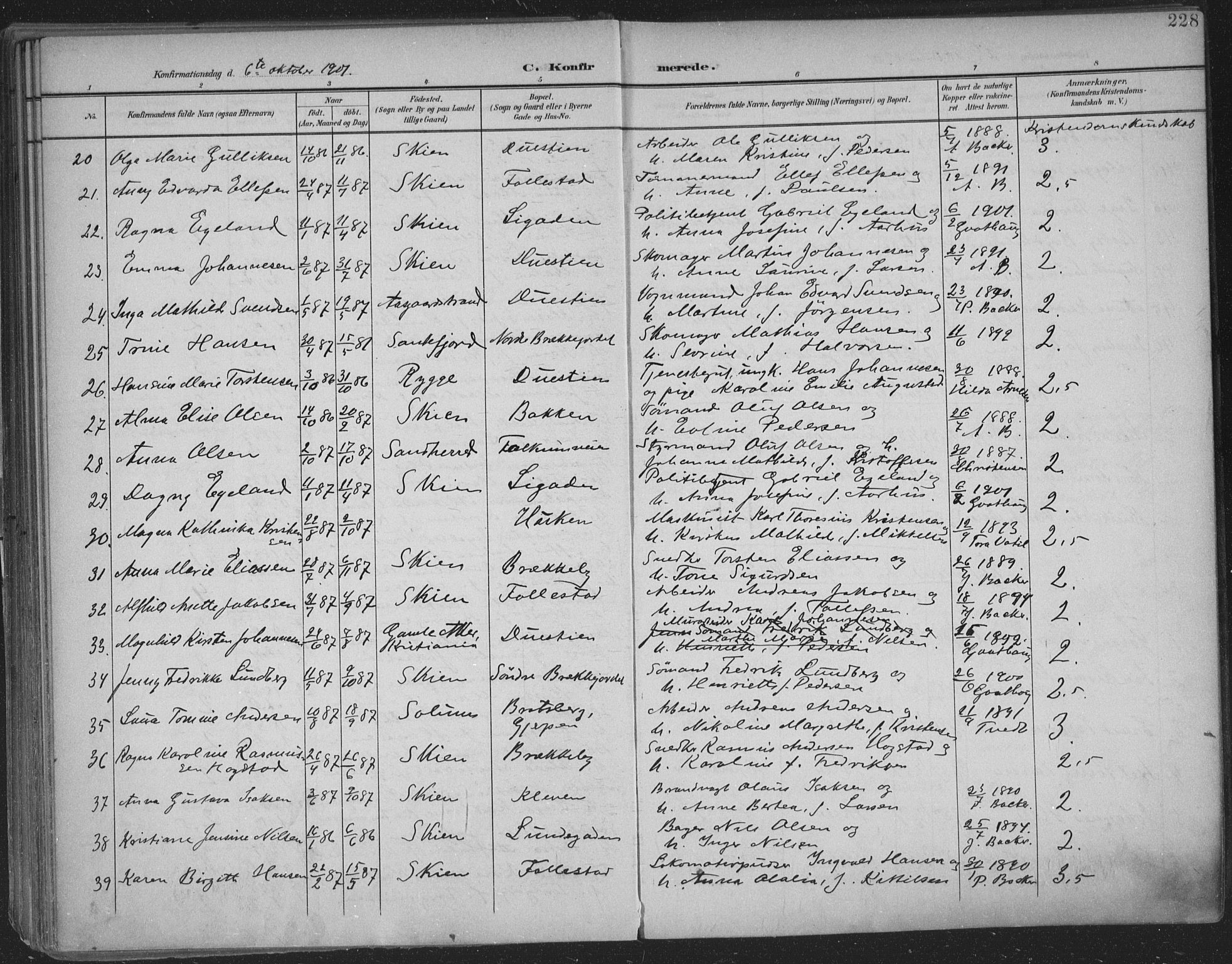 Skien kirkebøker, SAKO/A-302/F/Fa/L0011: Parish register (official) no. 11, 1900-1907, p. 228