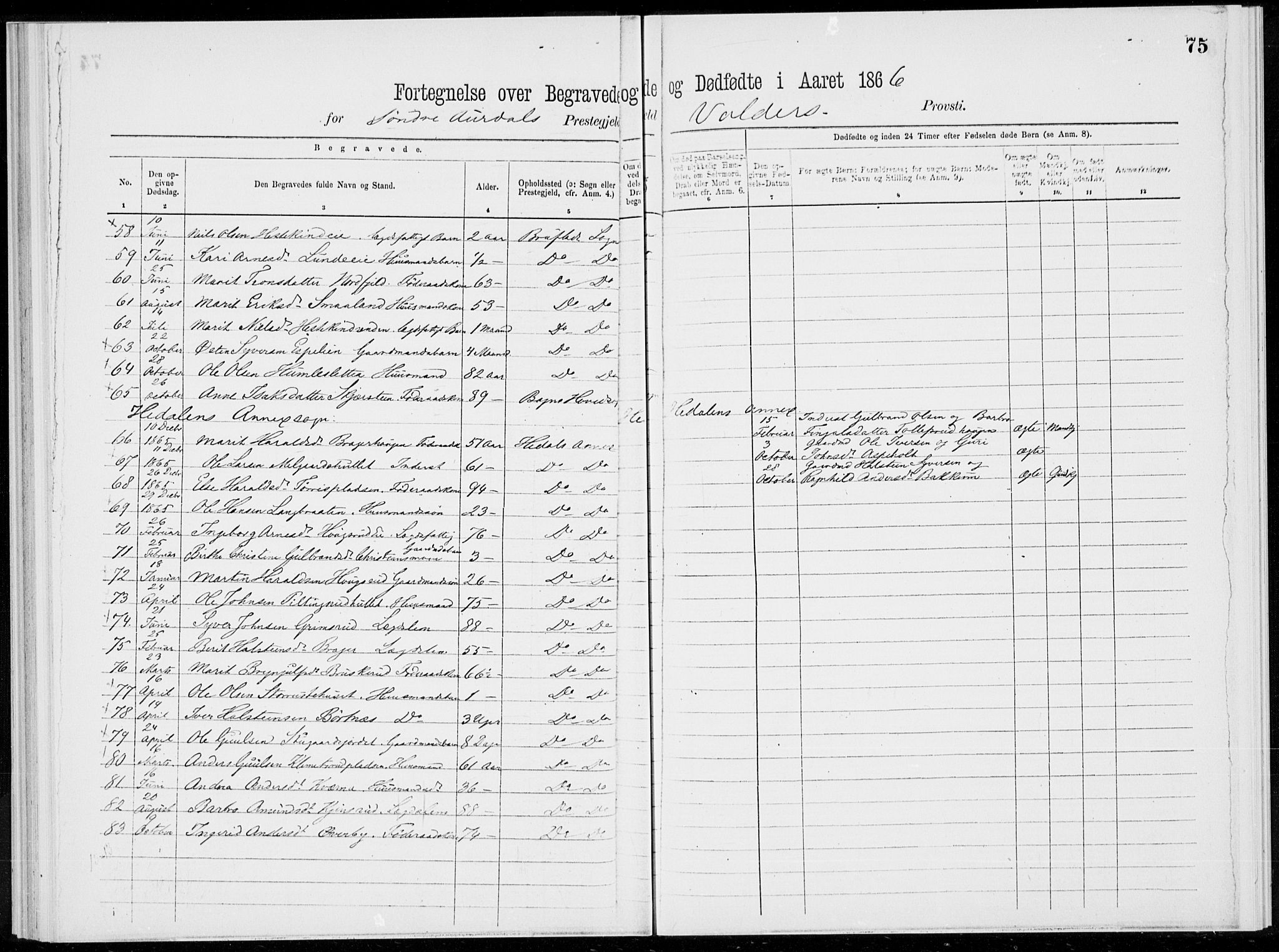 Sør-Aurdal prestekontor, SAH/PREST-128/H/Ha/Haa/L0000: Parish register (official), 1866-1872, p. 75