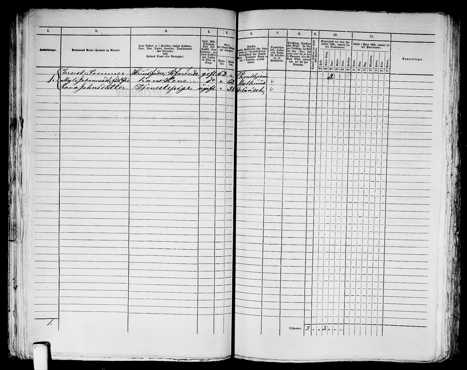 RA, 1865 census for Trondheim, 1865, p. 1247