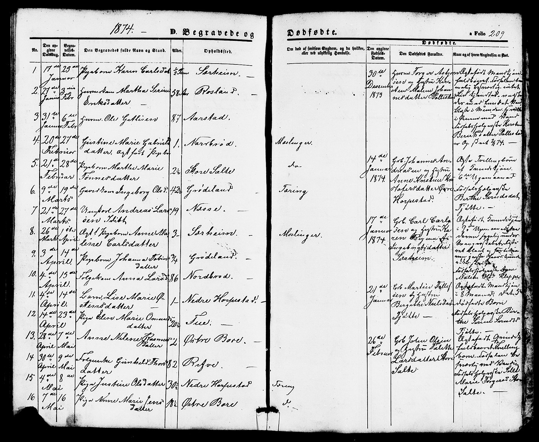 Klepp sokneprestkontor, AV/SAST-A-101803/001/3/30BB/L0002: Parish register (copy) no. B 2, 1860-1875, p. 209