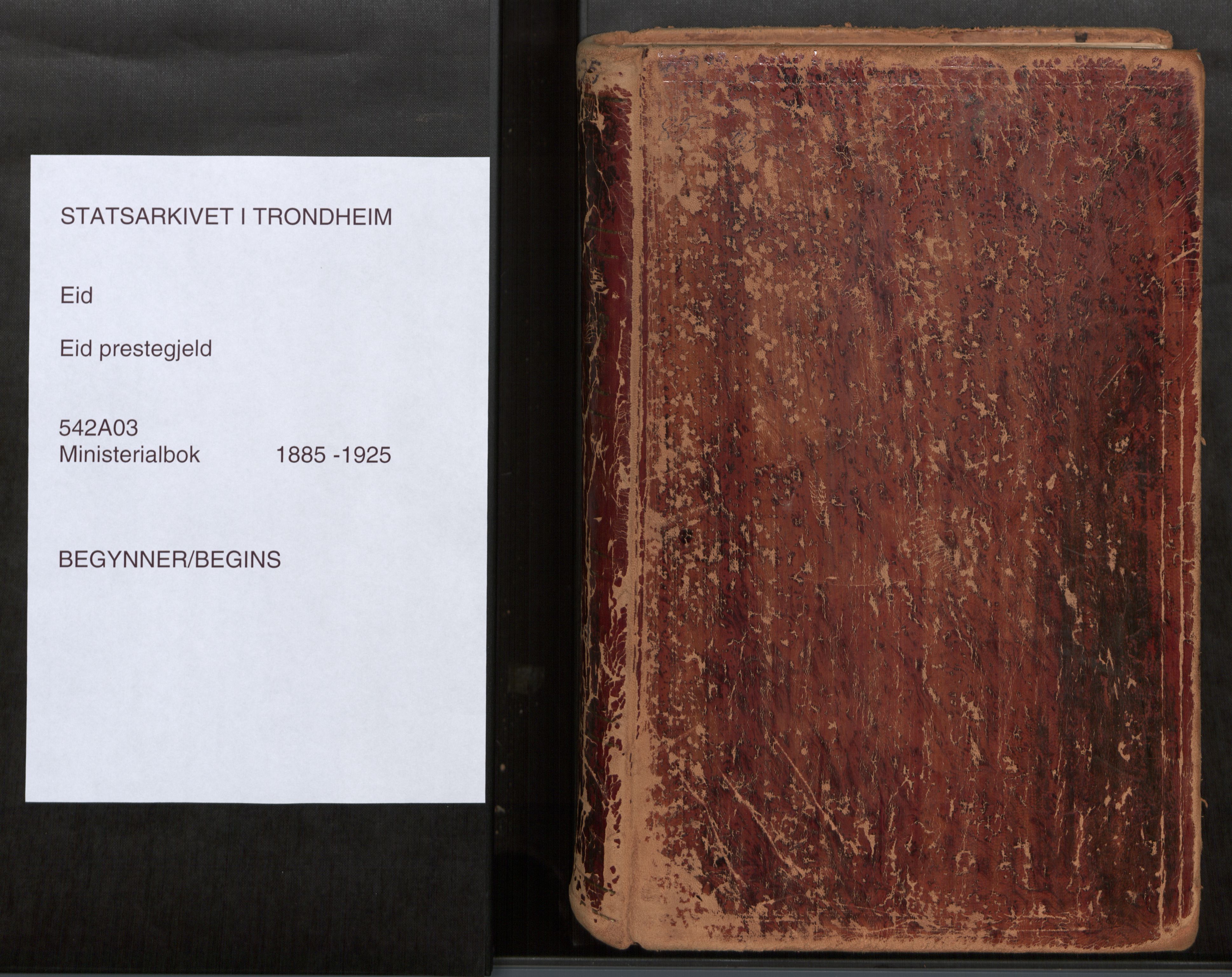 Ministerialprotokoller, klokkerbøker og fødselsregistre - Møre og Romsdal, SAT/A-1454/542/L0553: Parish register (official) no. 542A03, 1885-1925