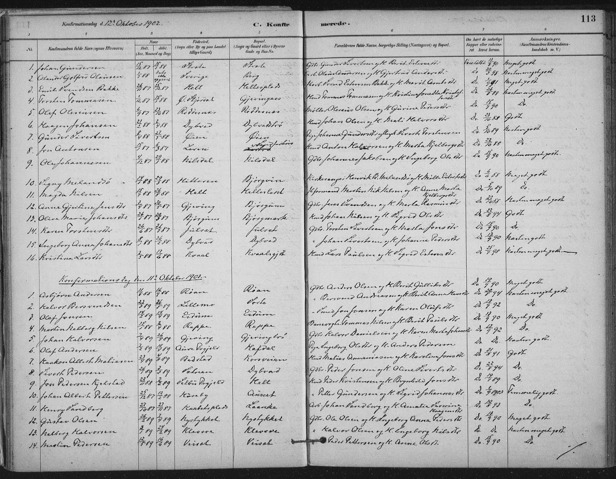 Ministerialprotokoller, klokkerbøker og fødselsregistre - Nord-Trøndelag, SAT/A-1458/710/L0095: Parish register (official) no. 710A01, 1880-1914, p. 113