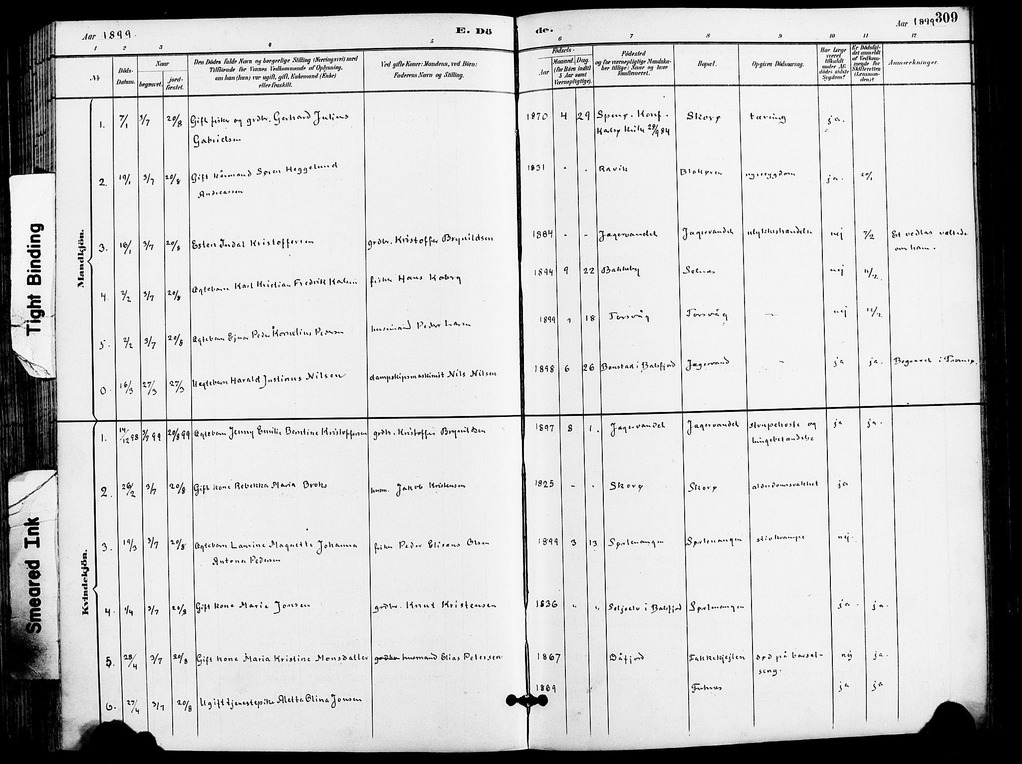 Karlsøy sokneprestembete, AV/SATØ-S-1299/H/Ha/Haa/L0007kirke: Parish register (official) no. 7, 1891-1902, p. 309