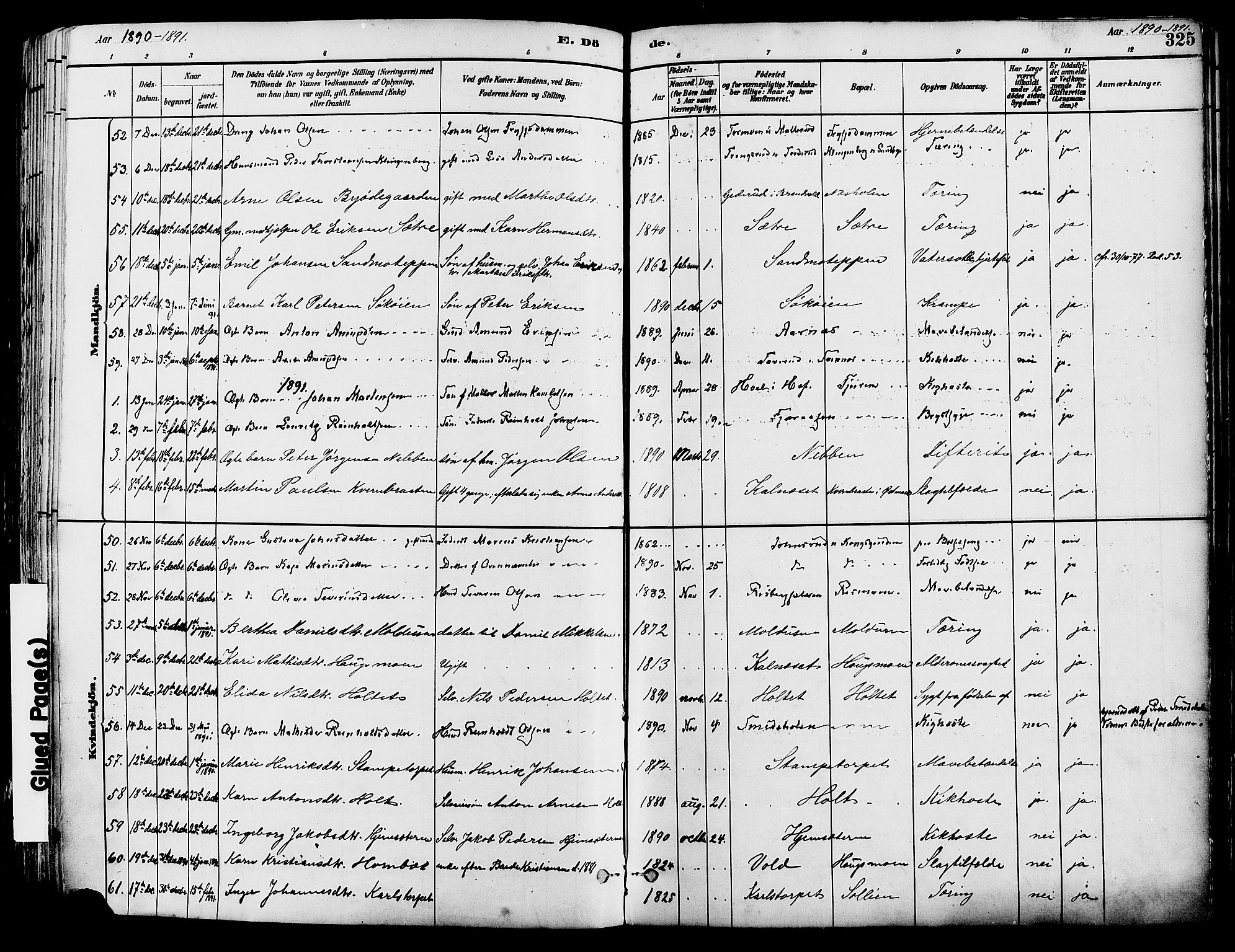 Grue prestekontor, SAH/PREST-036/H/Ha/Haa/L0012: Parish register (official) no. 12, 1881-1897, p. 325