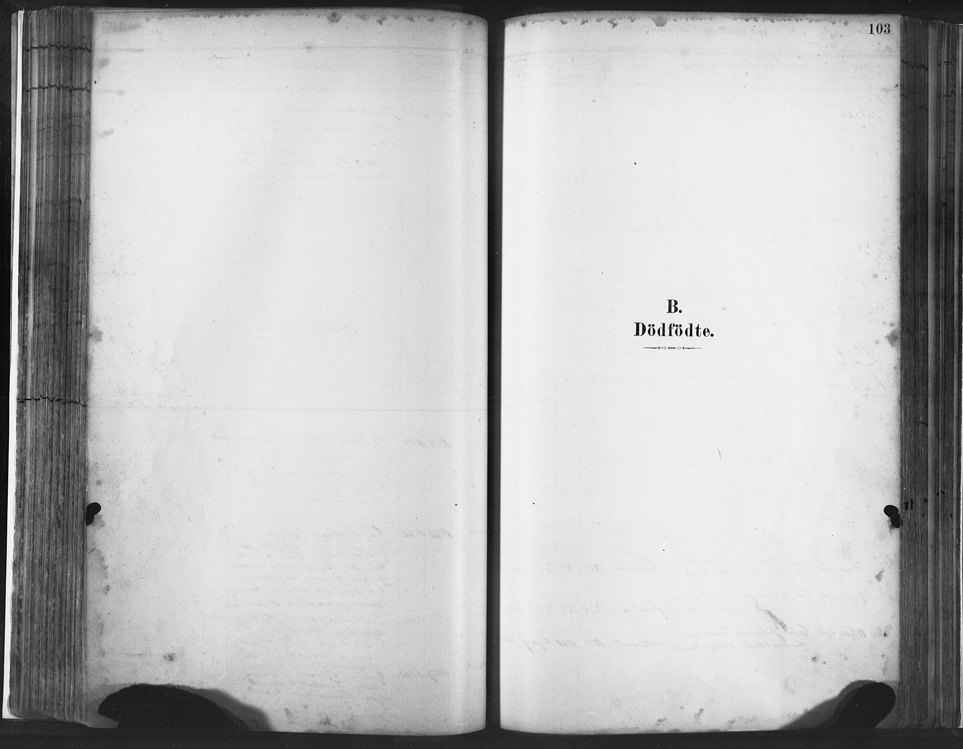 Lye sokneprestkontor, AV/SAST-A-101794/001/30BA/L0010: Parish register (official) no. A 10, 1881-1896, p. 103