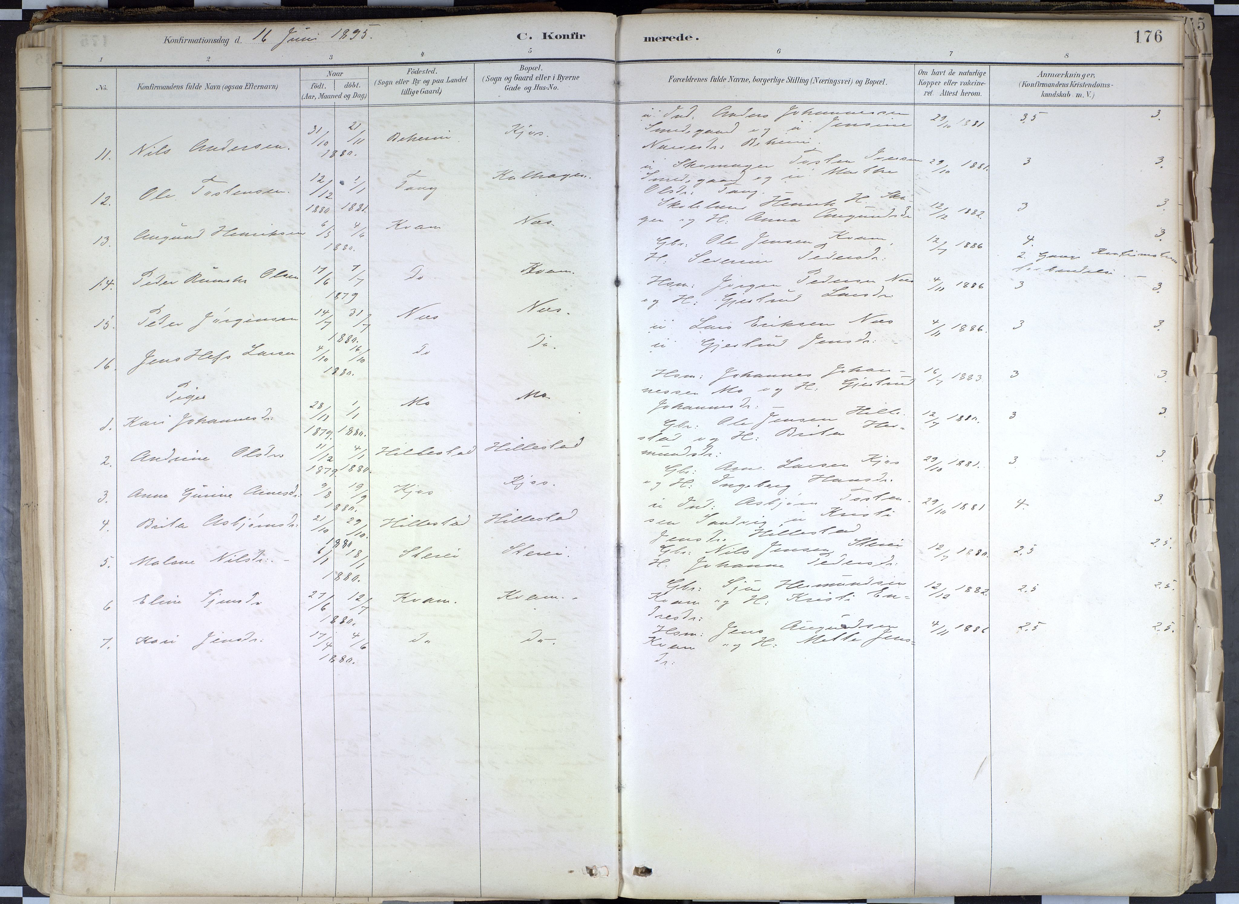 Hafslo sokneprestembete, AV/SAB-A-80301/H/Haa/Haab/L0001: Parish register (official) no. B 1, 1886-1945, p. 176