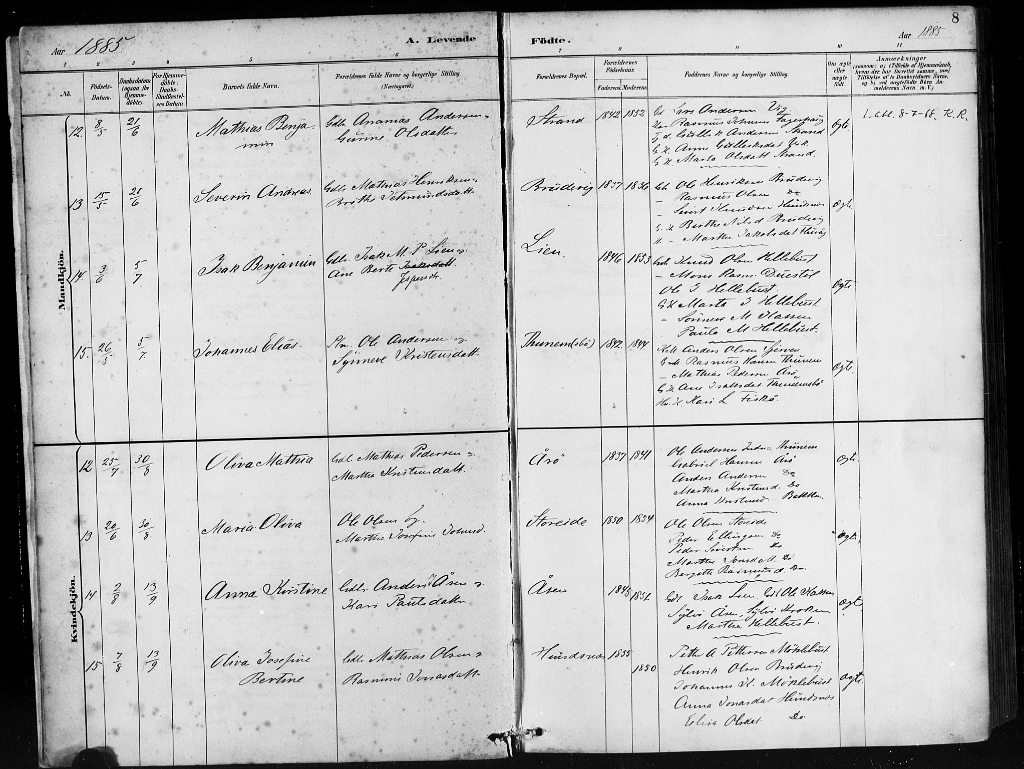 Ministerialprotokoller, klokkerbøker og fødselsregistre - Møre og Romsdal, AV/SAT-A-1454/501/L0008: Parish register (official) no. 501A08, 1885-1901, p. 8