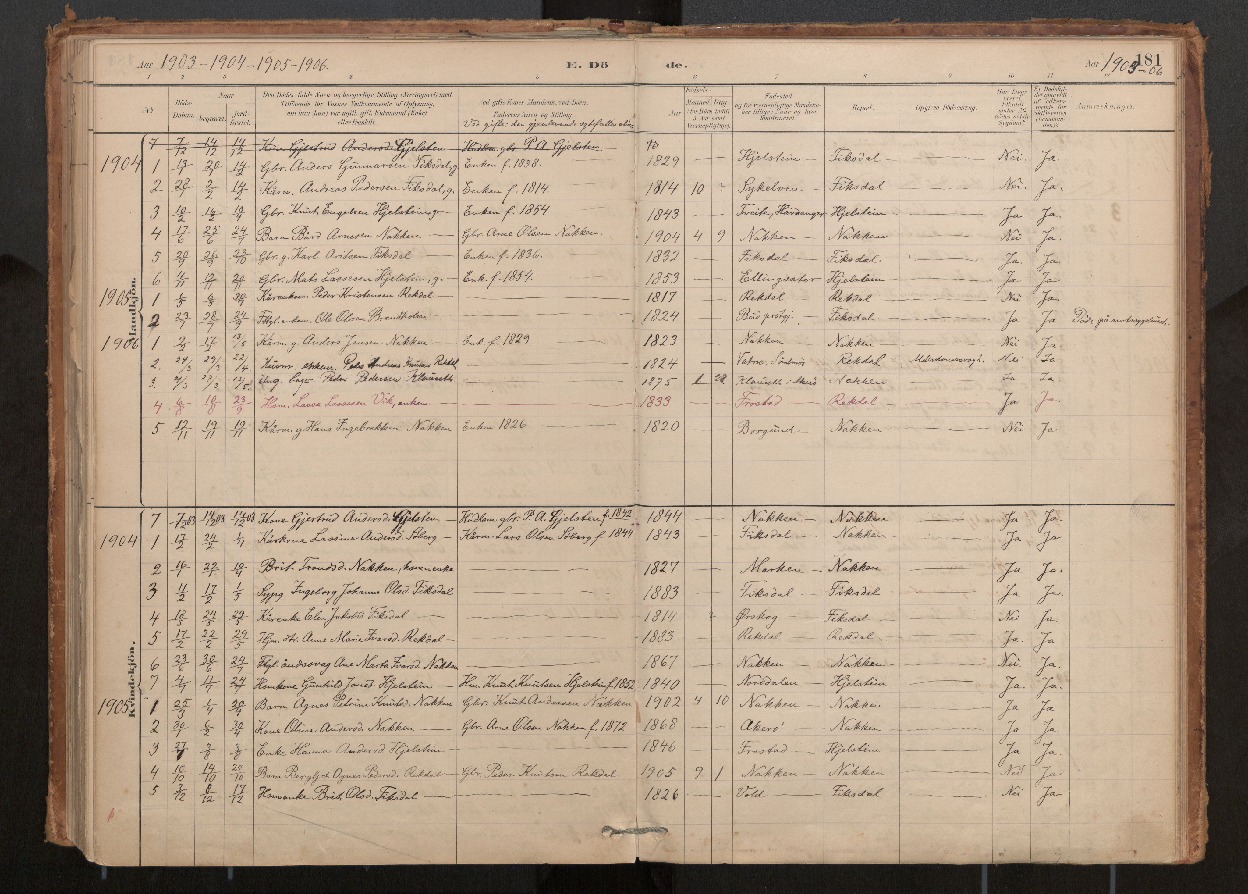 Ministerialprotokoller, klokkerbøker og fødselsregistre - Møre og Romsdal, AV/SAT-A-1454/540/L0540a: Parish register (official) no. 540A02, 1884-1908, p. 181