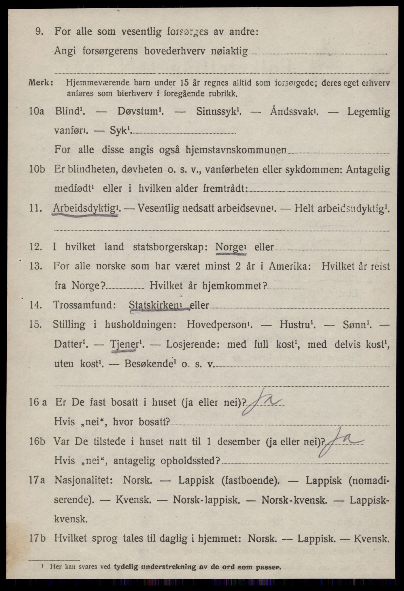 SAT, 1920 census for Selbu, 1920, p. 6995