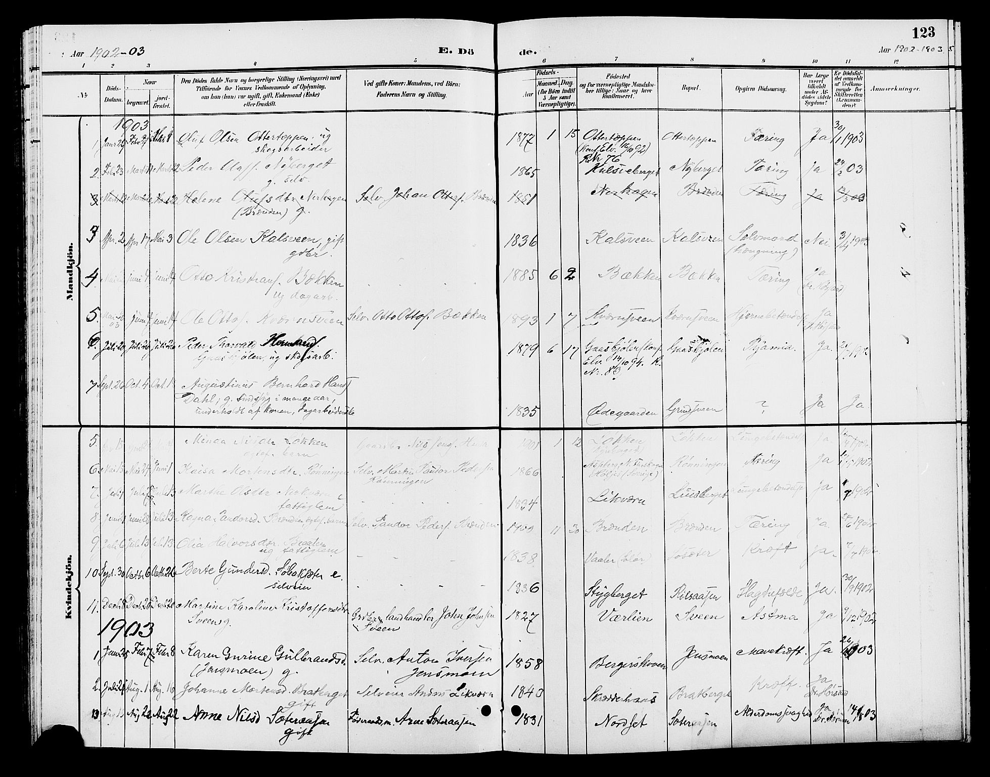 Elverum prestekontor, AV/SAH-PREST-044/H/Ha/Hab/L0006: Parish register (copy) no. 6, 1896-1907, p. 123