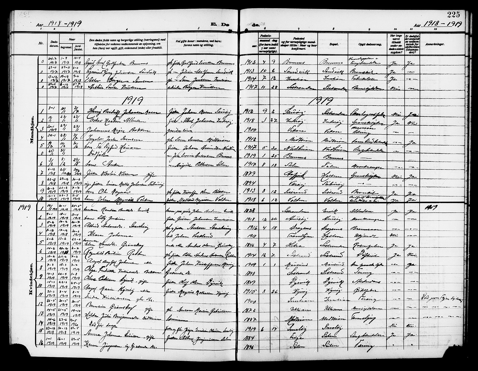 Ministerialprotokoller, klokkerbøker og fødselsregistre - Sør-Trøndelag, SAT/A-1456/640/L0588: Parish register (copy) no. 640C05, 1909-1922, p. 225