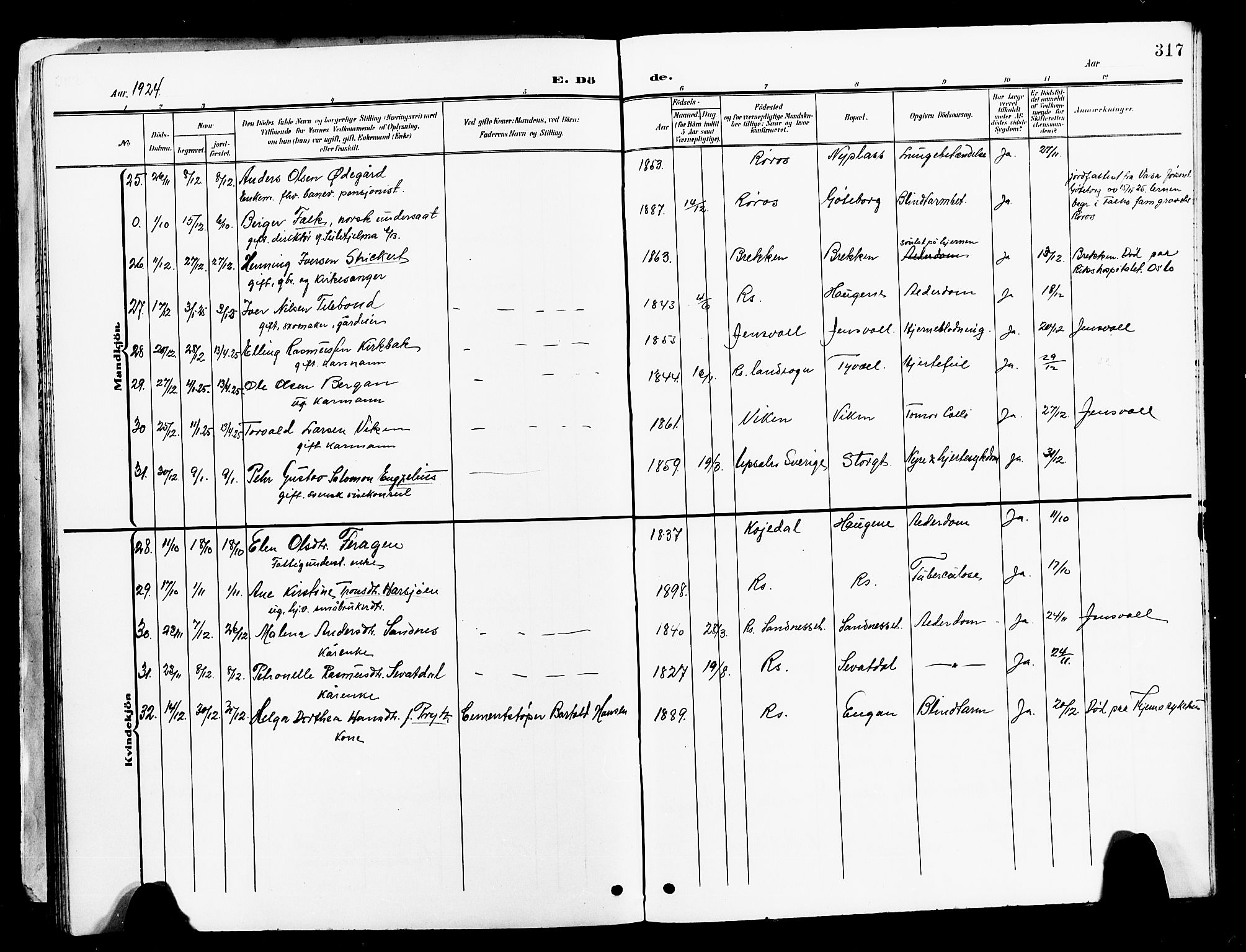 Ministerialprotokoller, klokkerbøker og fødselsregistre - Sør-Trøndelag, SAT/A-1456/681/L0942: Parish register (copy) no. 681C06, 1906-1925, p. 317