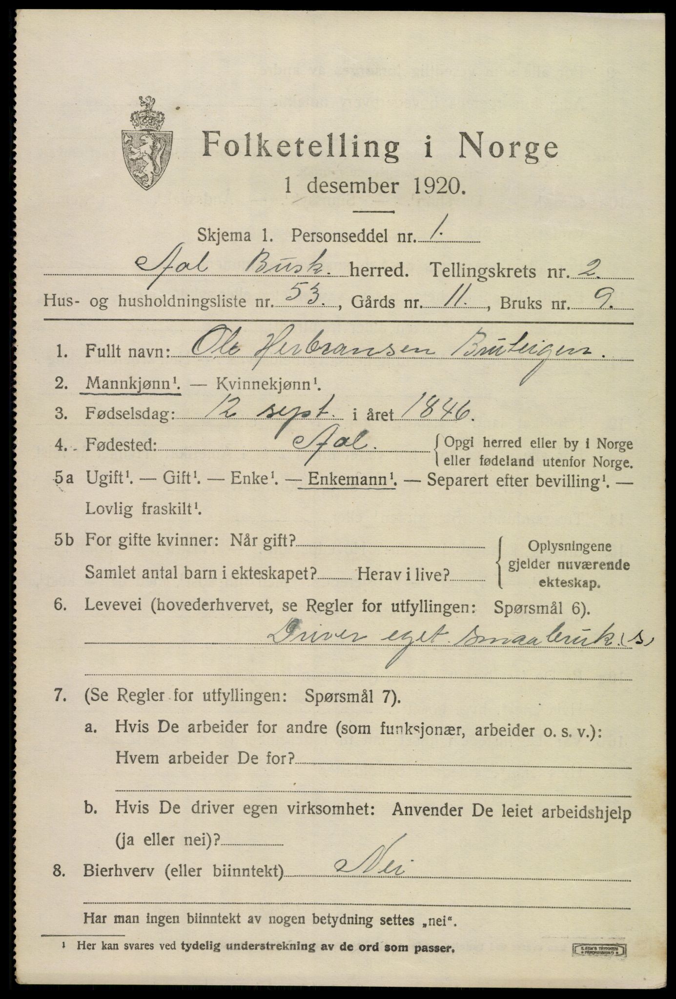 SAKO, 1920 census for Ål, 1920, p. 2374