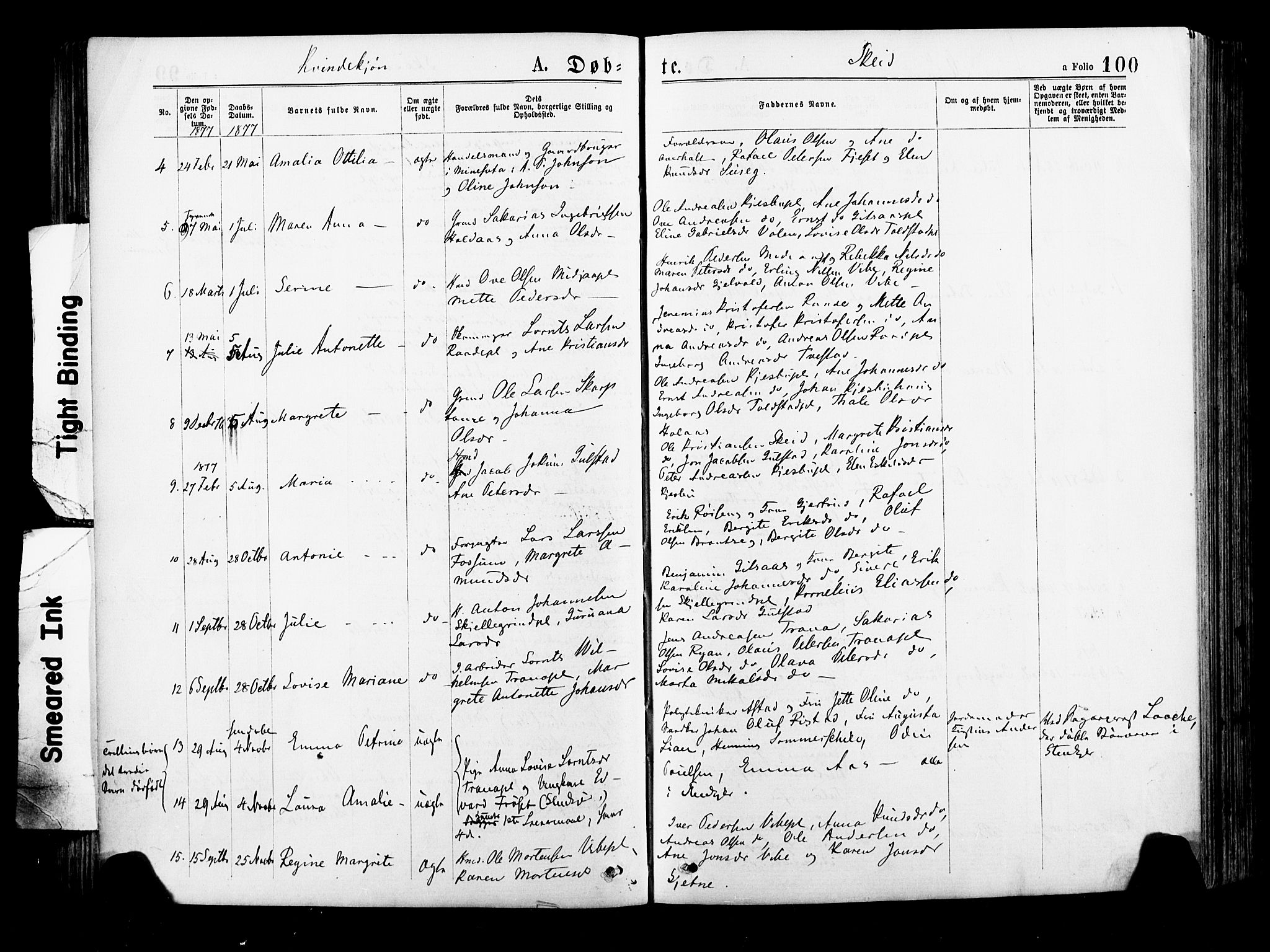 Ministerialprotokoller, klokkerbøker og fødselsregistre - Nord-Trøndelag, SAT/A-1458/735/L0348: Parish register (official) no. 735A09 /2, 1873-1883, p. 100