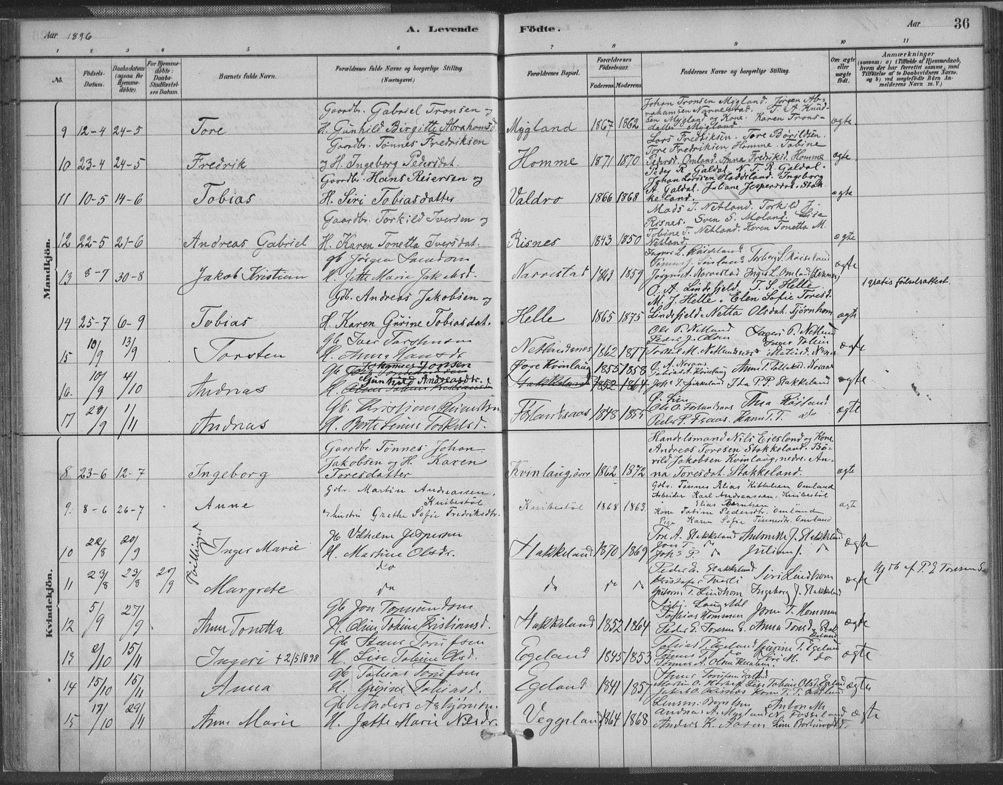 Fjotland sokneprestkontor, AV/SAK-1111-0010/F/Fa/L0002: Parish register (official) no. A 2, 1880-1898, p. 36