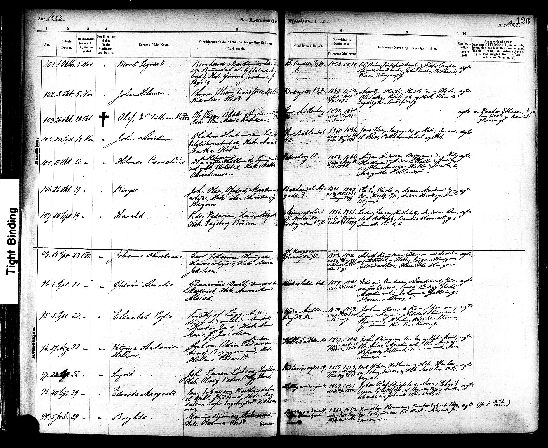 Ministerialprotokoller, klokkerbøker og fødselsregistre - Sør-Trøndelag, SAT/A-1456/604/L0188: Parish register (official) no. 604A09, 1878-1892, p. 126