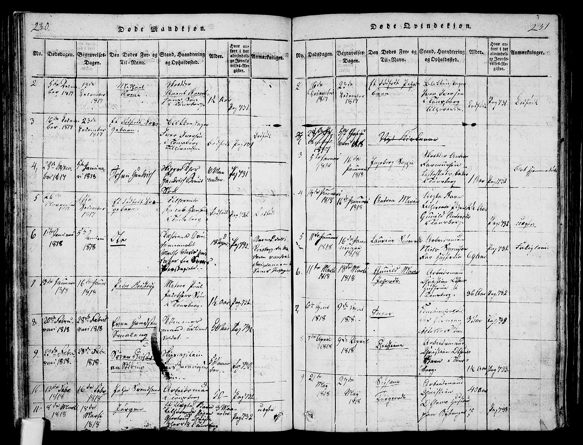 Tønsberg kirkebøker, AV/SAKO-A-330/F/Fa/L0004: Parish register (official) no. I 4, 1813-1826, p. 230-231