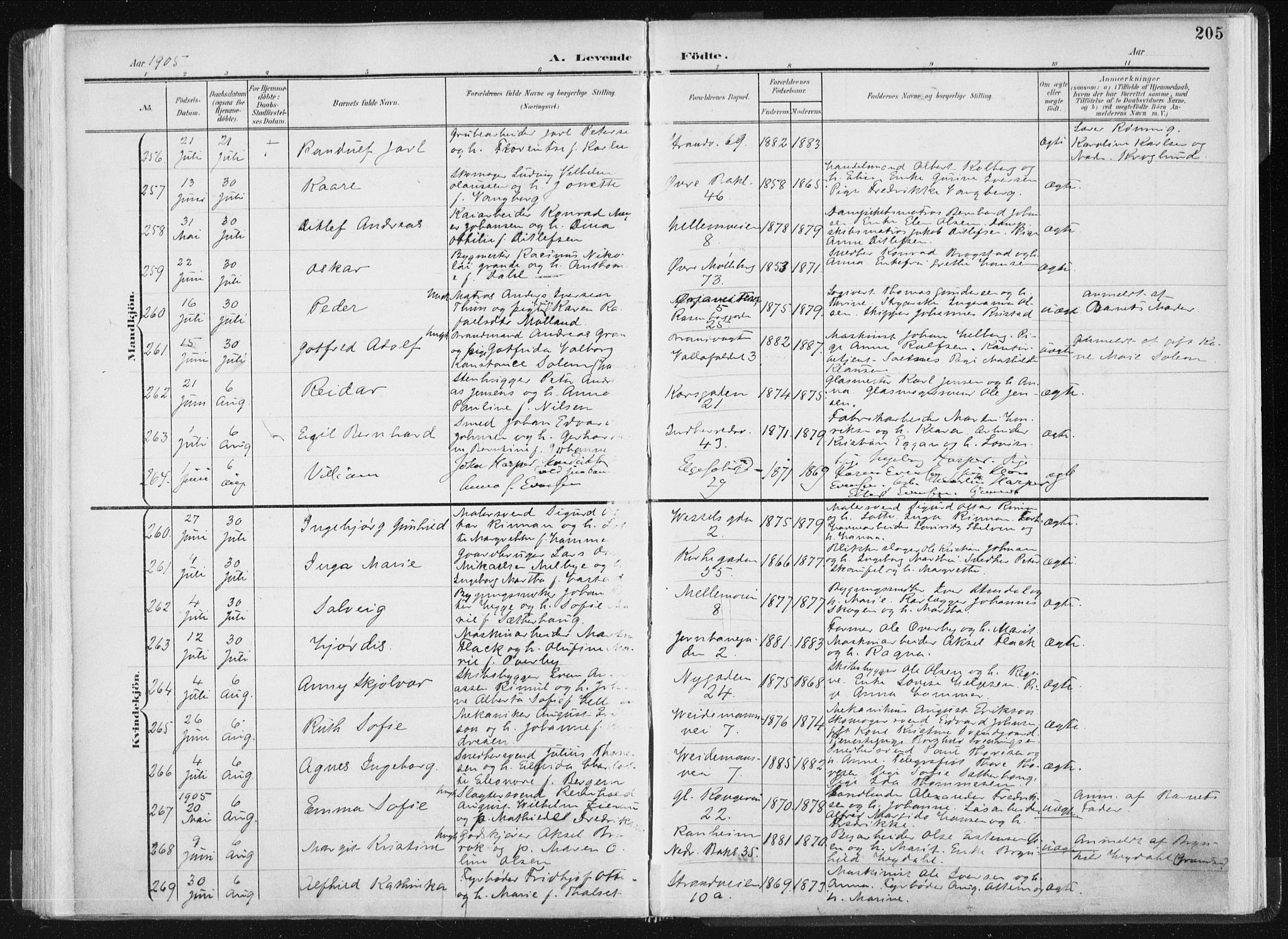 Ministerialprotokoller, klokkerbøker og fødselsregistre - Sør-Trøndelag, AV/SAT-A-1456/604/L0199: Parish register (official) no. 604A20I, 1901-1906, p. 205