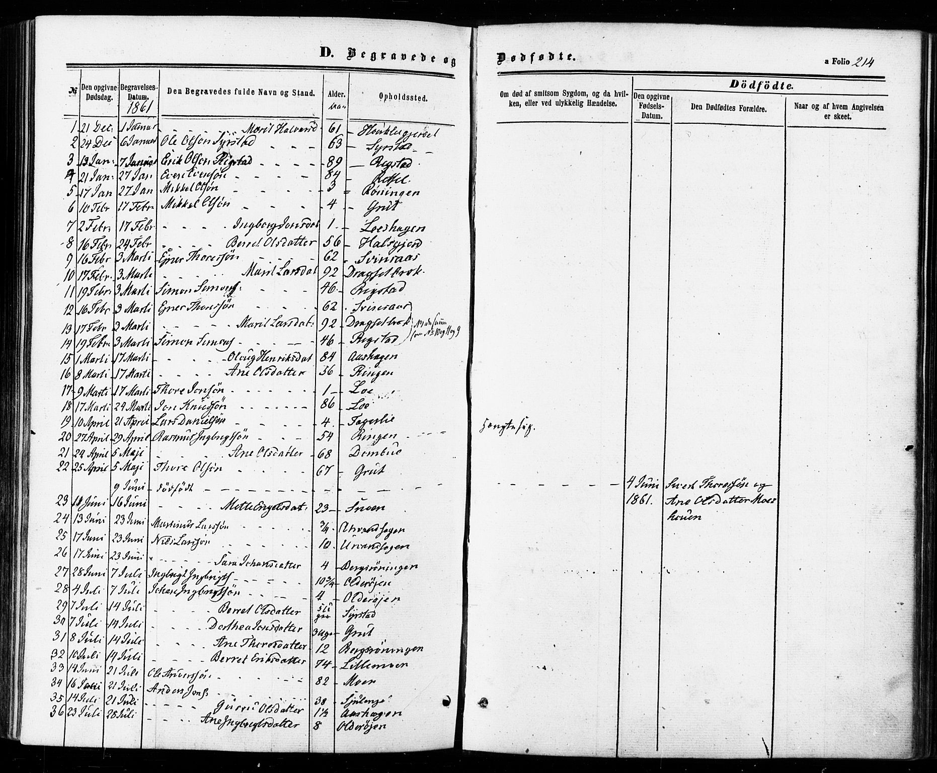 Ministerialprotokoller, klokkerbøker og fødselsregistre - Sør-Trøndelag, SAT/A-1456/672/L0856: Parish register (official) no. 672A08, 1861-1881, p. 214