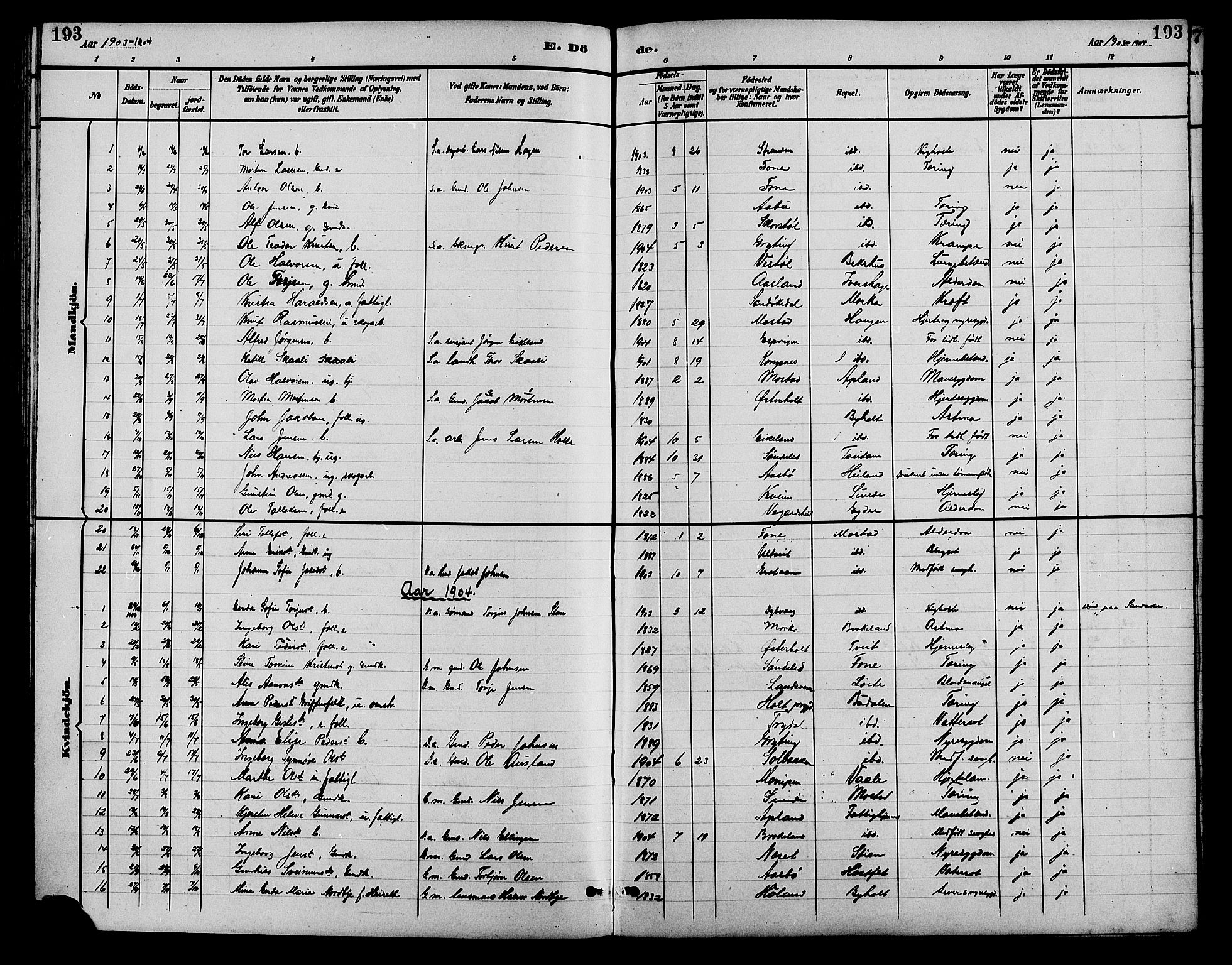 Gjerstad sokneprestkontor, SAK/1111-0014/F/Fb/Fba/L0007: Parish register (copy) no. B 7, 1891-1908, p. 193