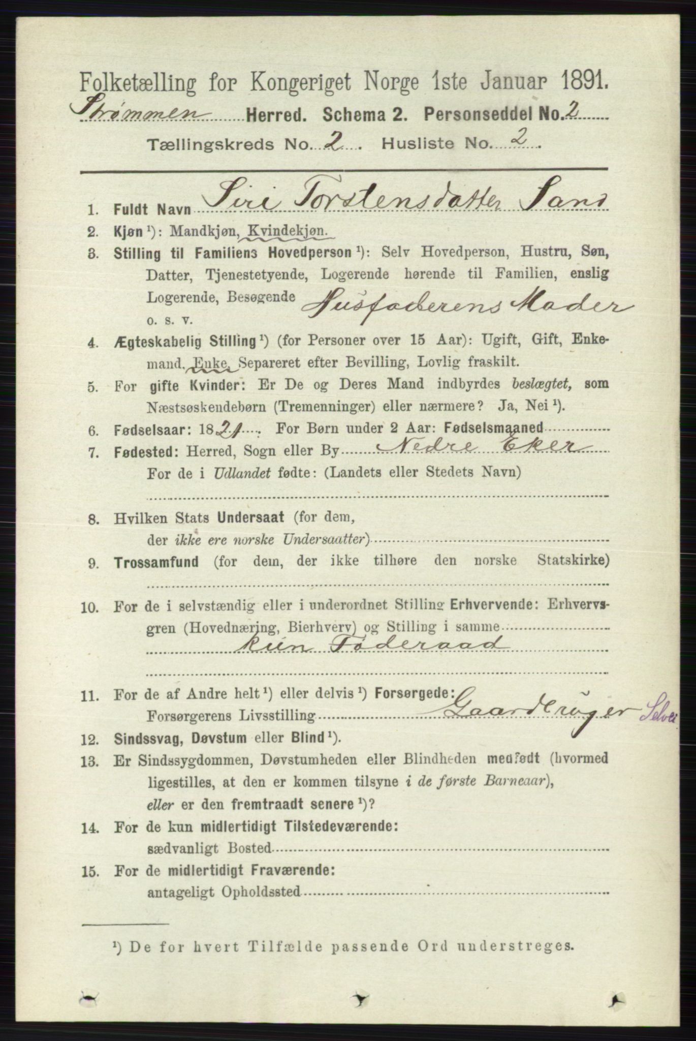 RA, 1891 census for 0711 Strømm, 1891, p. 705