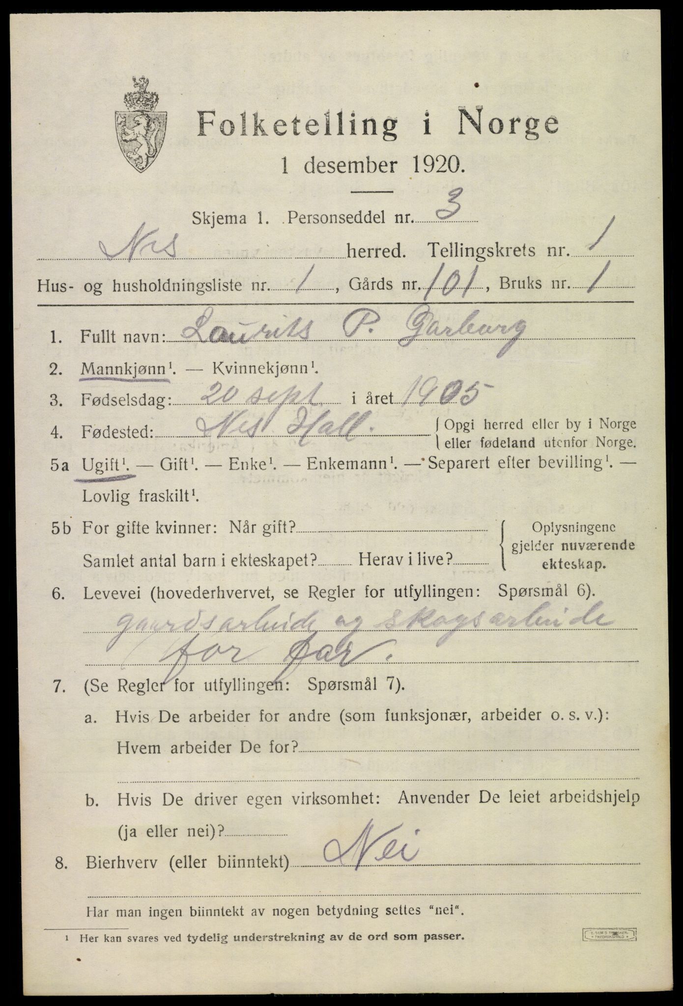 SAKO, 1920 census for Nes (Buskerud), 1920, p. 1020