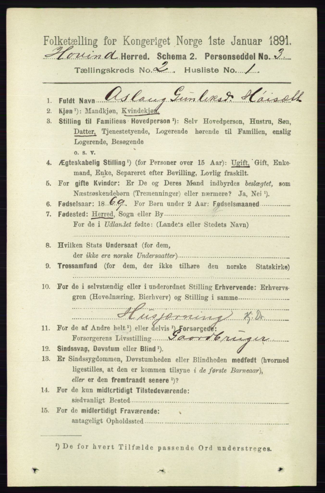 RA, 1891 census for 0825 Hovin, 1891, p. 492