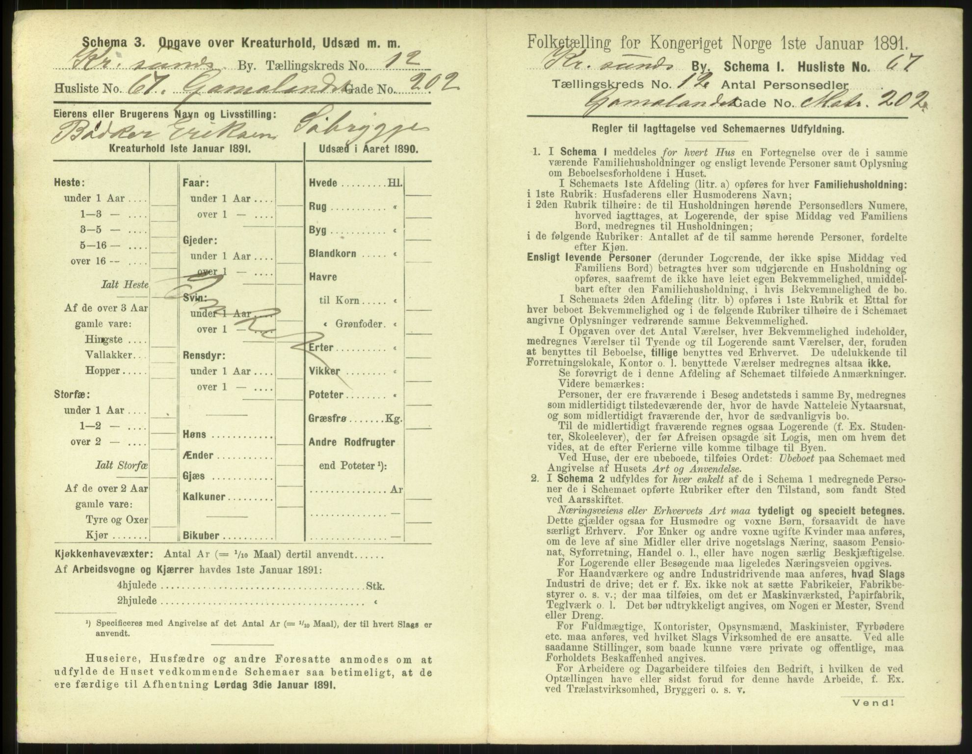 RA, 1891 census for 1503 Kristiansund, 1891, p. 1384