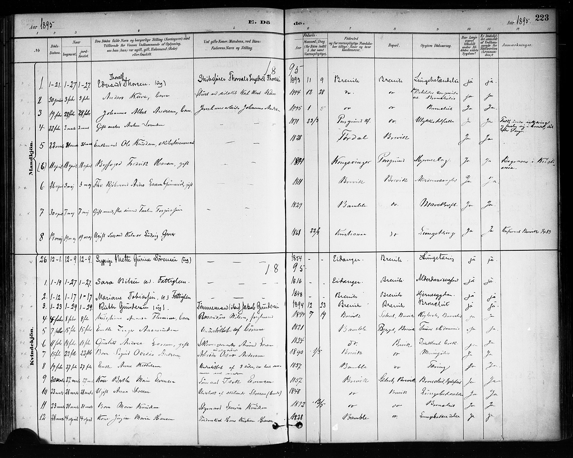 Brevik kirkebøker, SAKO/A-255/F/Fa/L0007: Parish register (official) no. 7, 1882-1900, p. 223