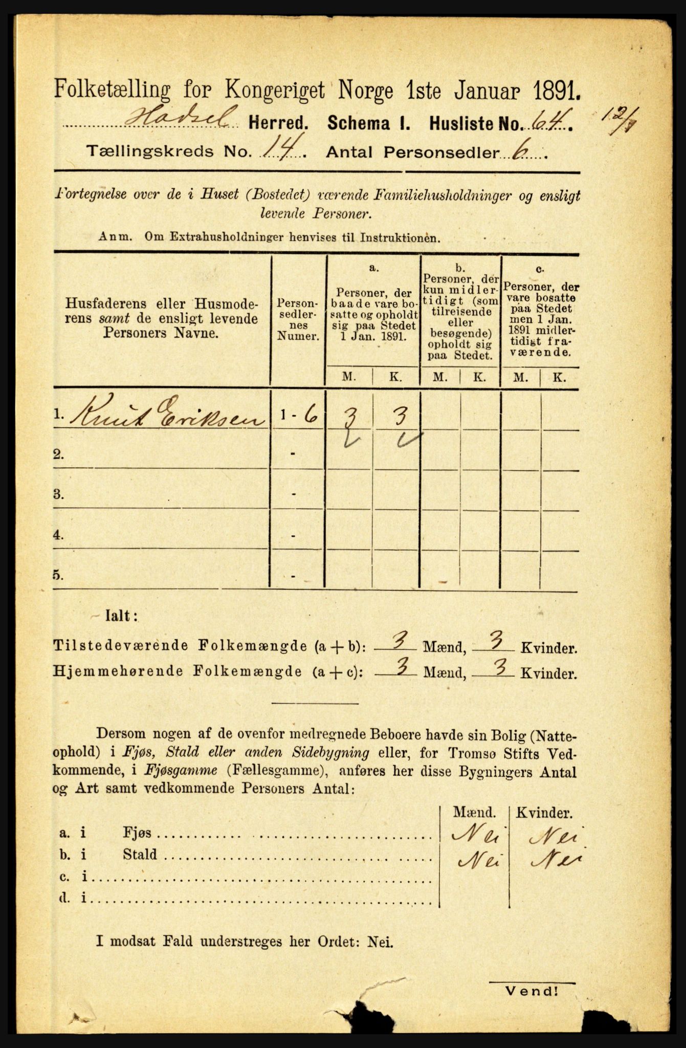 RA, 1891 census for 1866 Hadsel, 1891, p. 6317