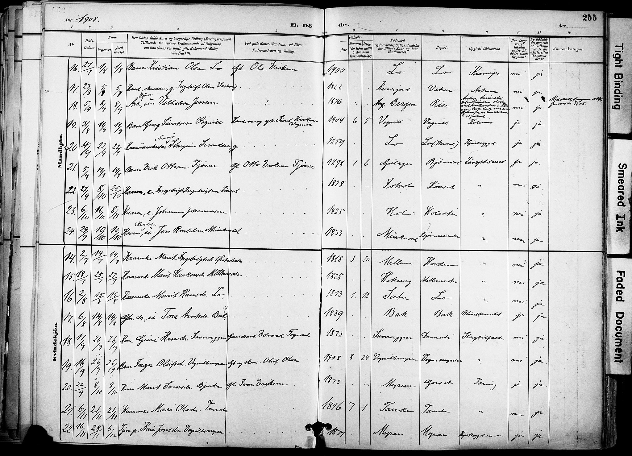 Ministerialprotokoller, klokkerbøker og fødselsregistre - Sør-Trøndelag, AV/SAT-A-1456/678/L0902: Parish register (official) no. 678A11, 1895-1911, p. 255