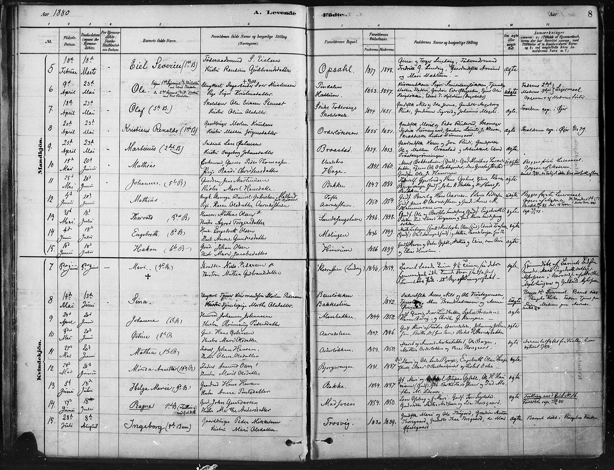 Ringebu prestekontor, AV/SAH-PREST-082/H/Ha/Haa/L0009: Parish register (official) no. 9, 1878-1898, p. 8