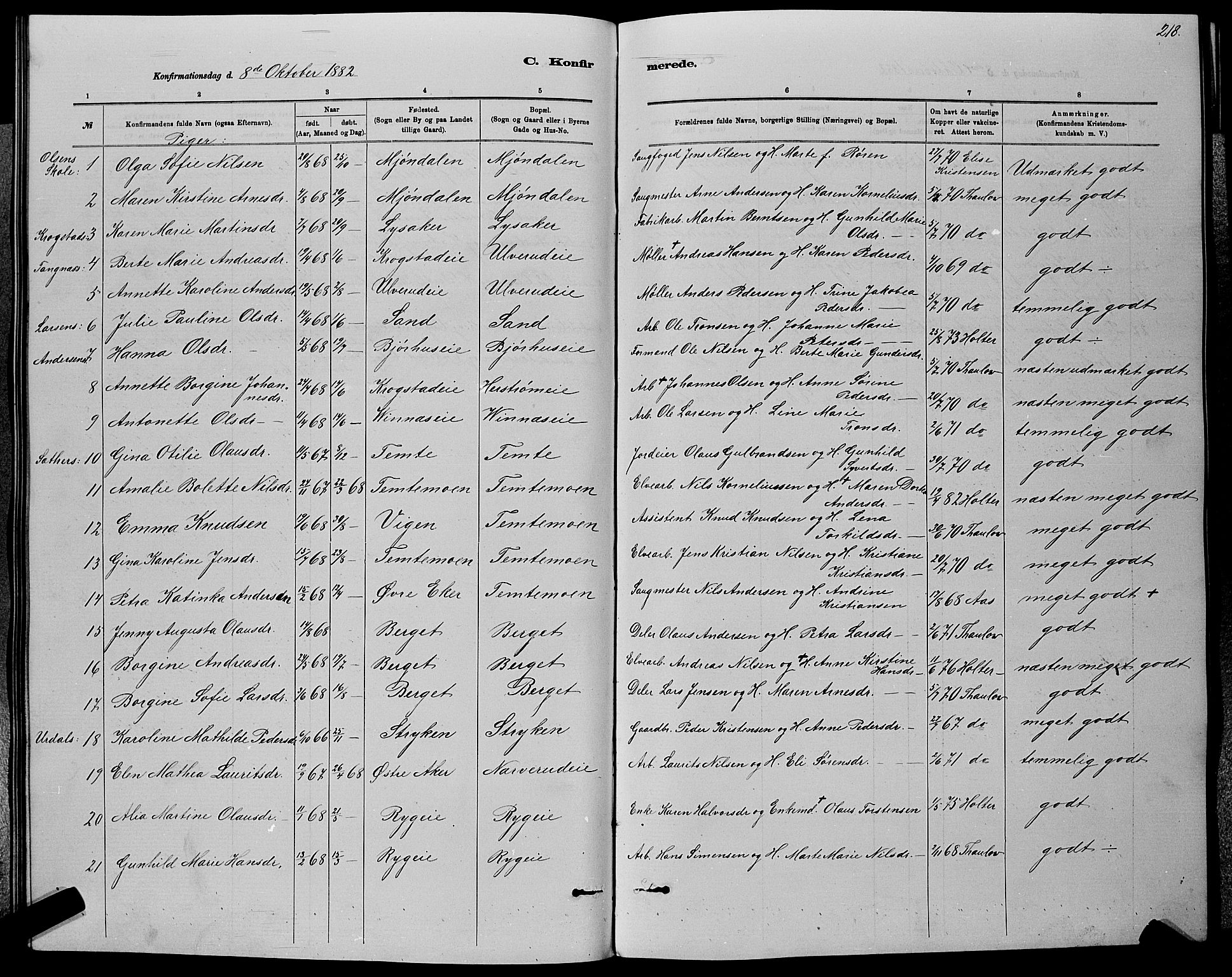 Nedre Eiker kirkebøker, AV/SAKO-A-612/G/Ga/L0002: Parish register (copy) no. 2, 1880-1896, p. 218